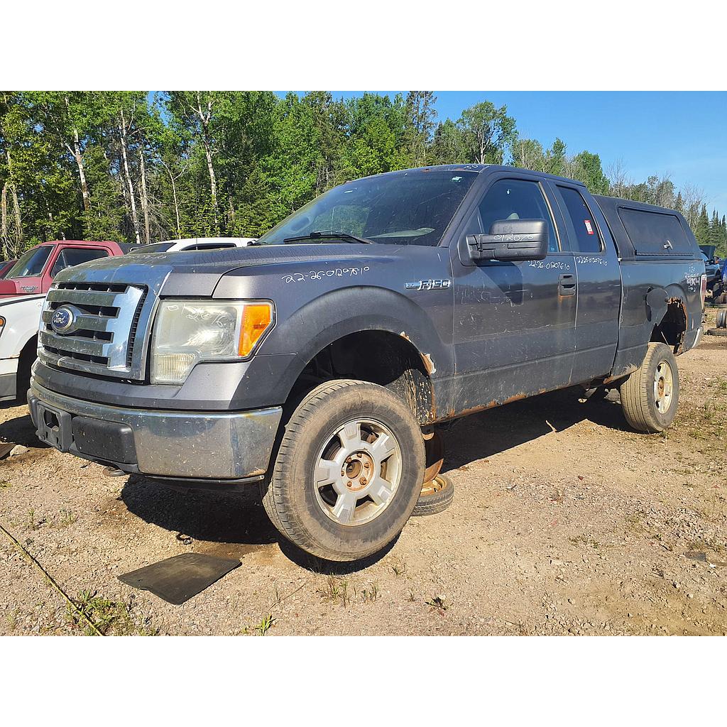 FORD F-150 2010