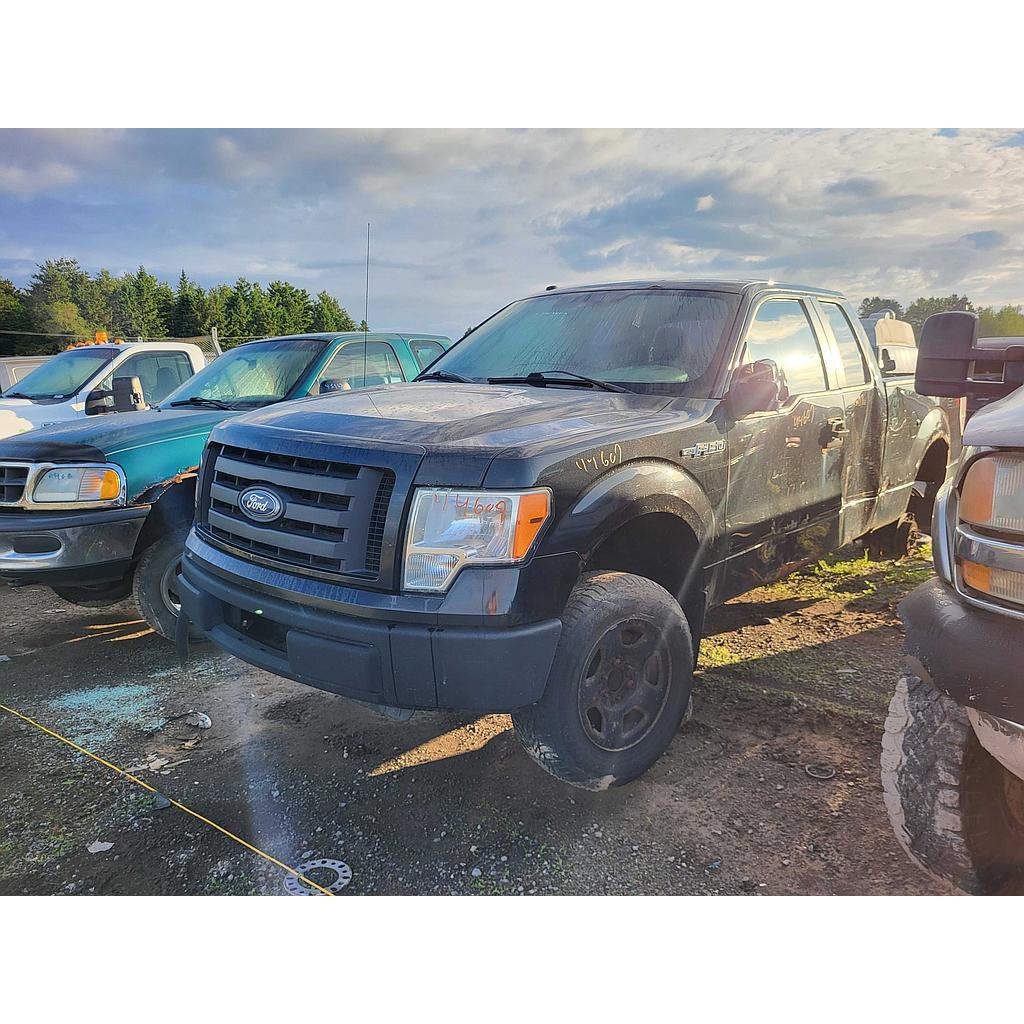 FORD F-150 2010