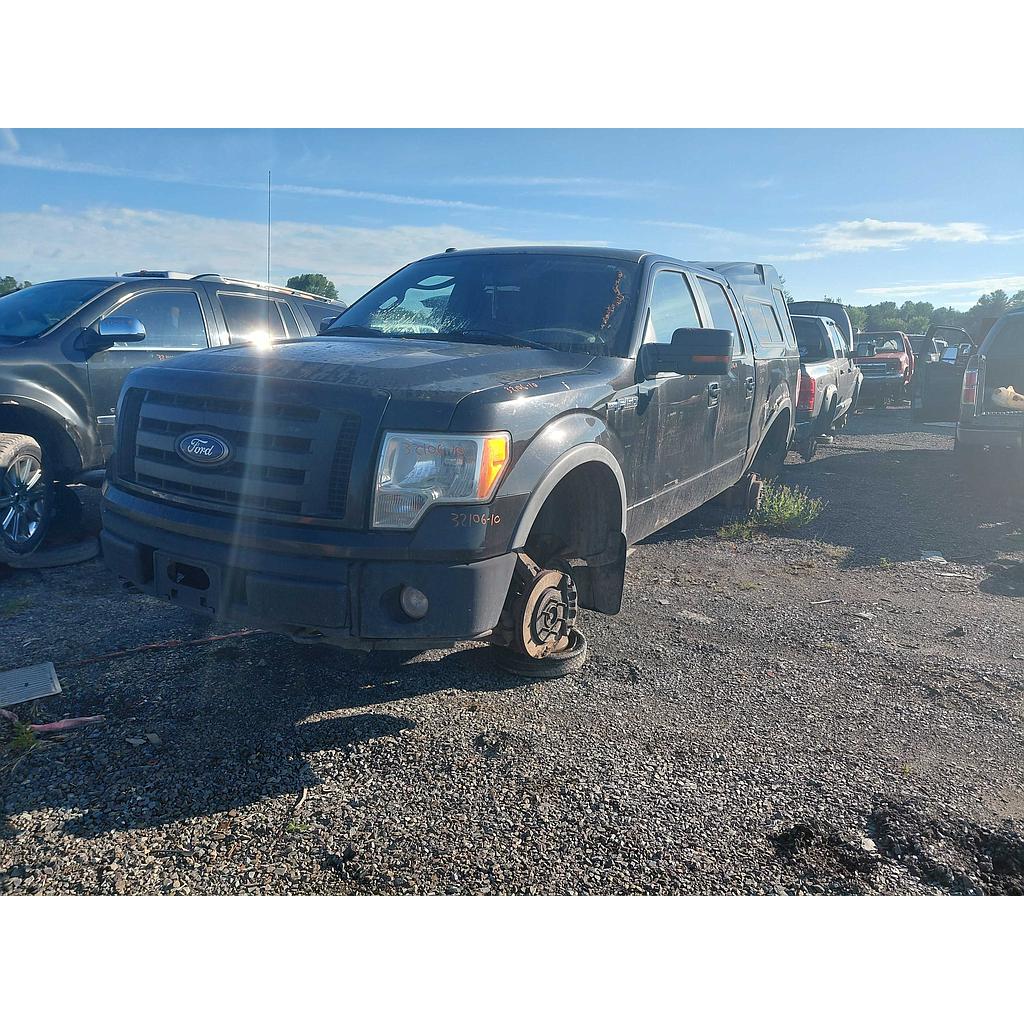 FORD F-150 2010