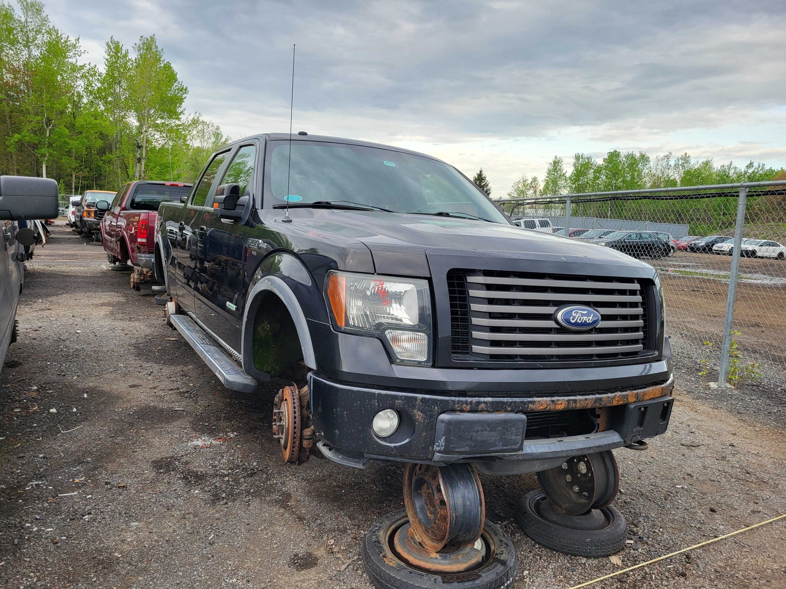 FORD F-150 2011