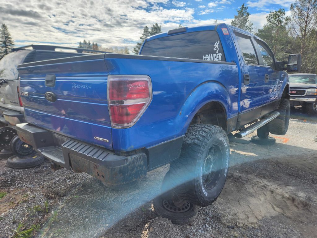 FORD F-150 2011