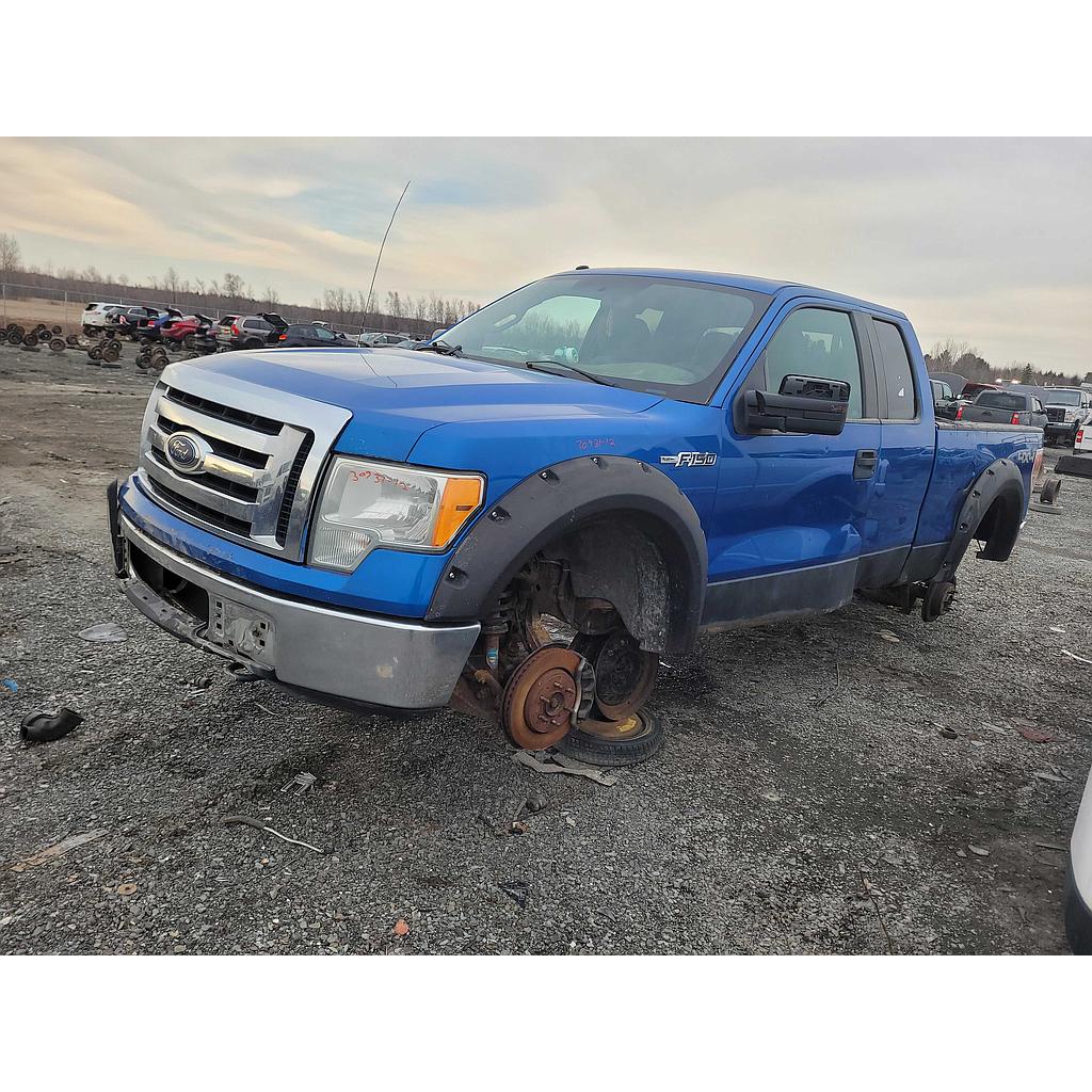 FORD F-150 2012