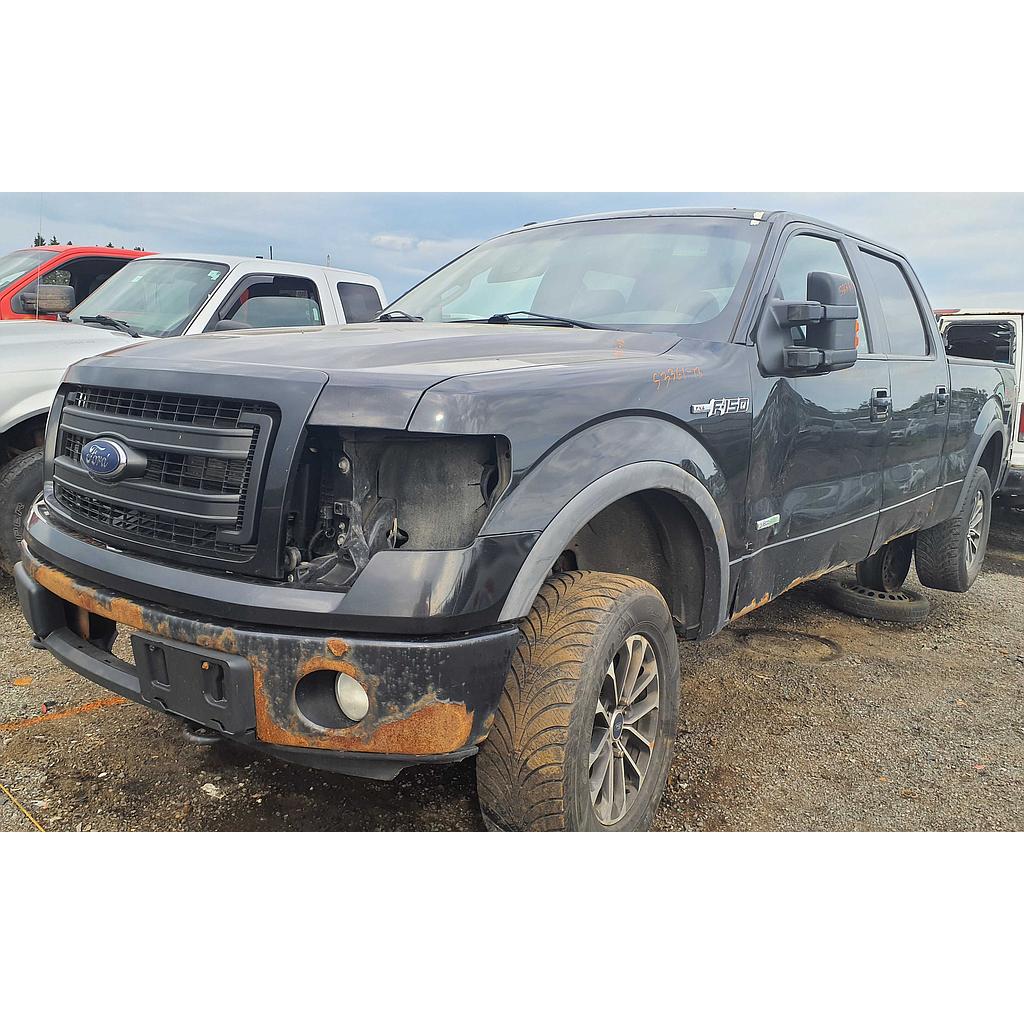 FORD F-150 2013
