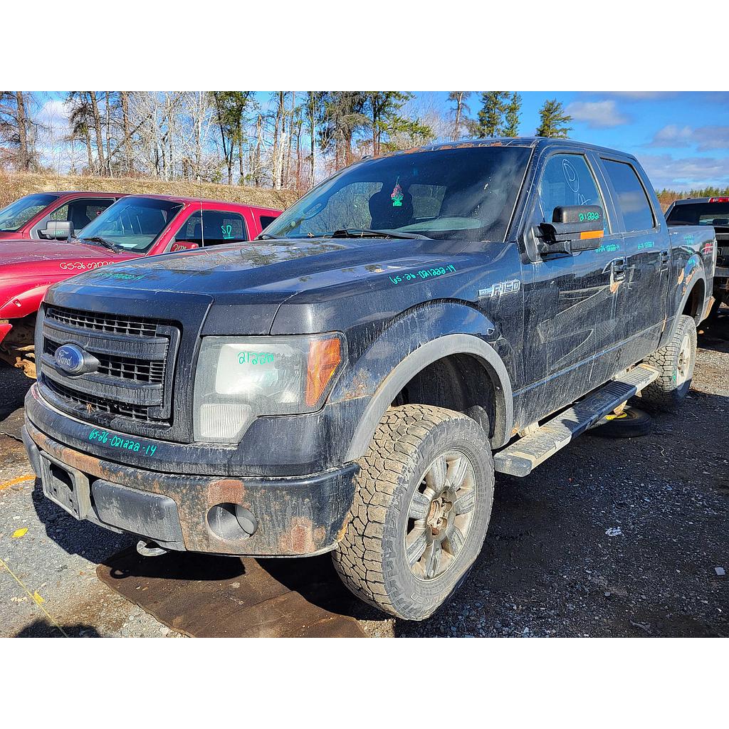 FORD F-150 2014