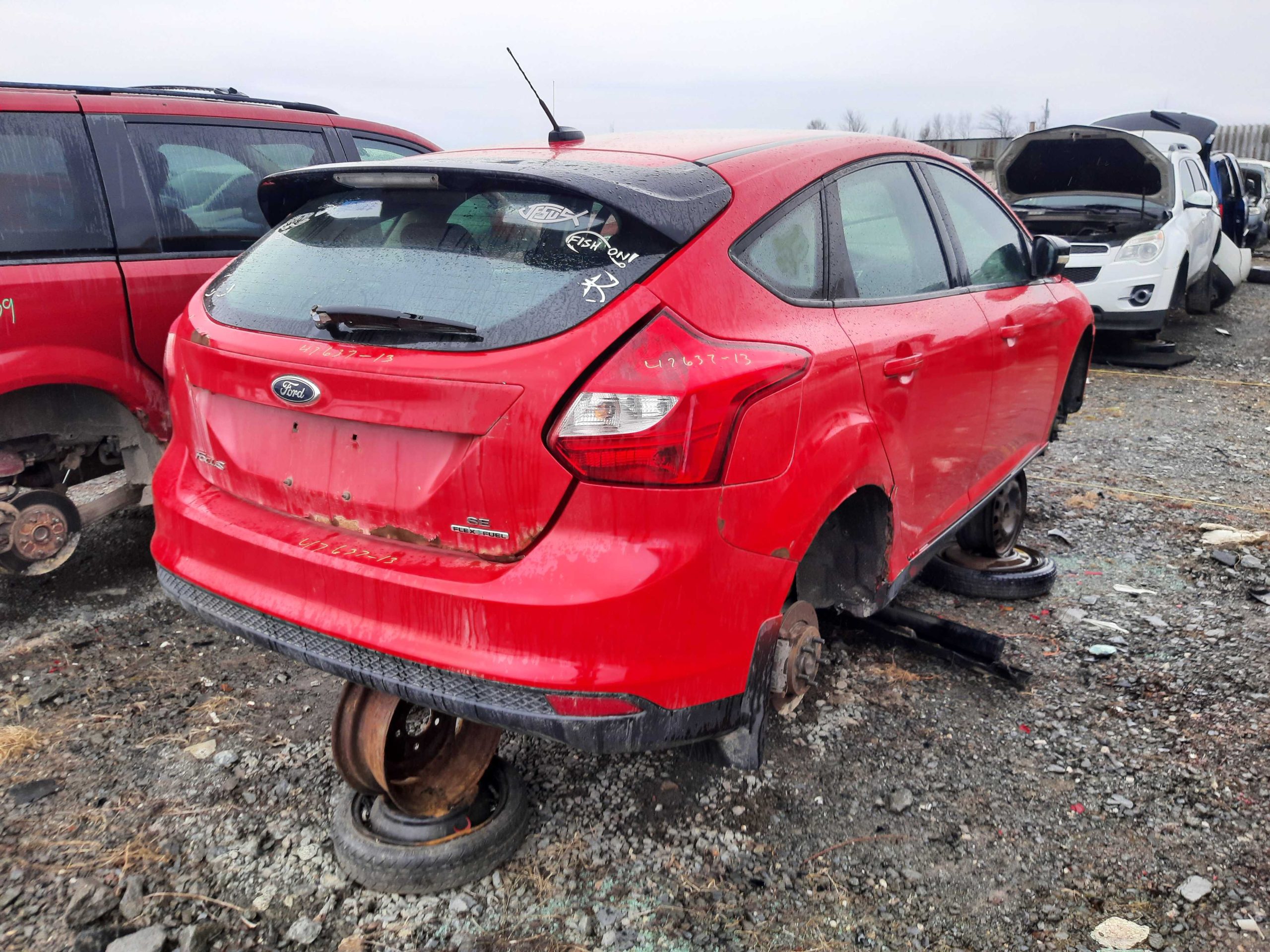 FORD FOCUS 2013