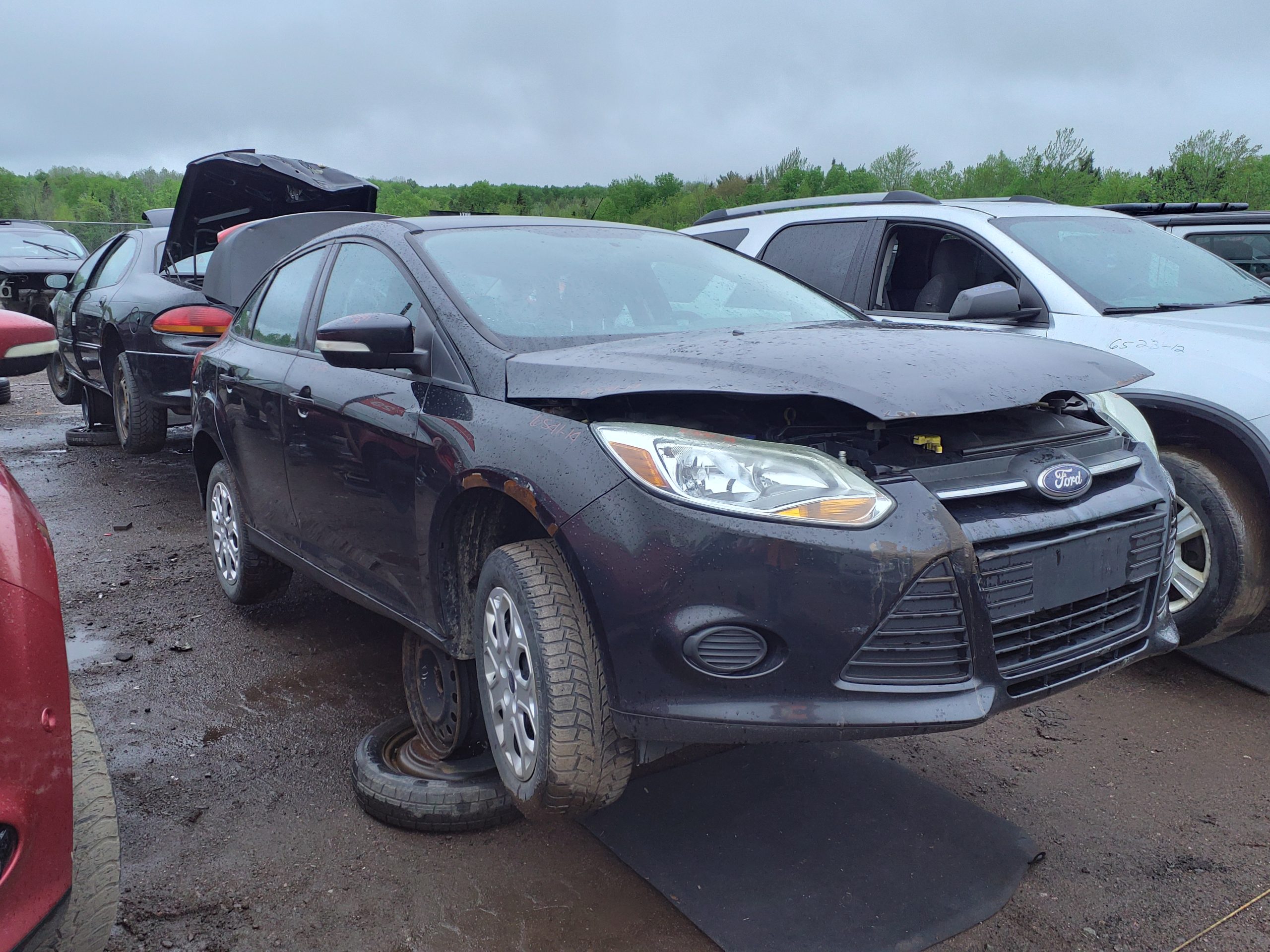 FORD FOCUS 2014