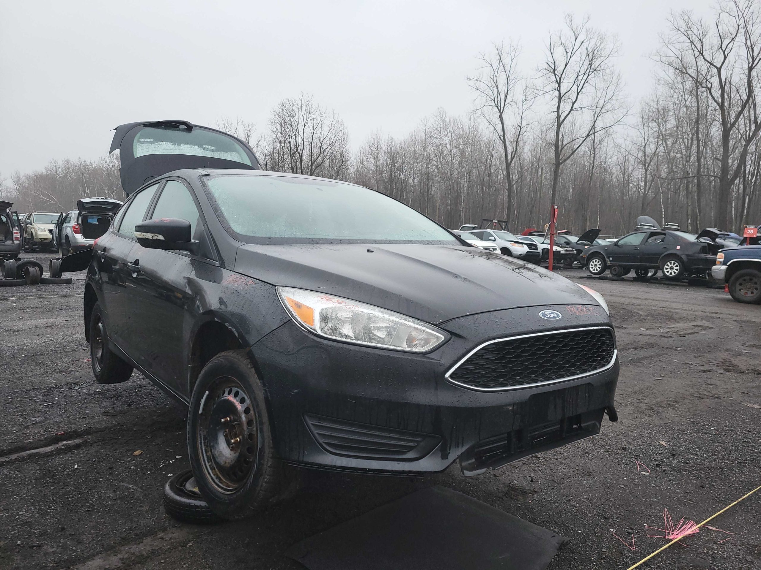 FORD FOCUS 2015
