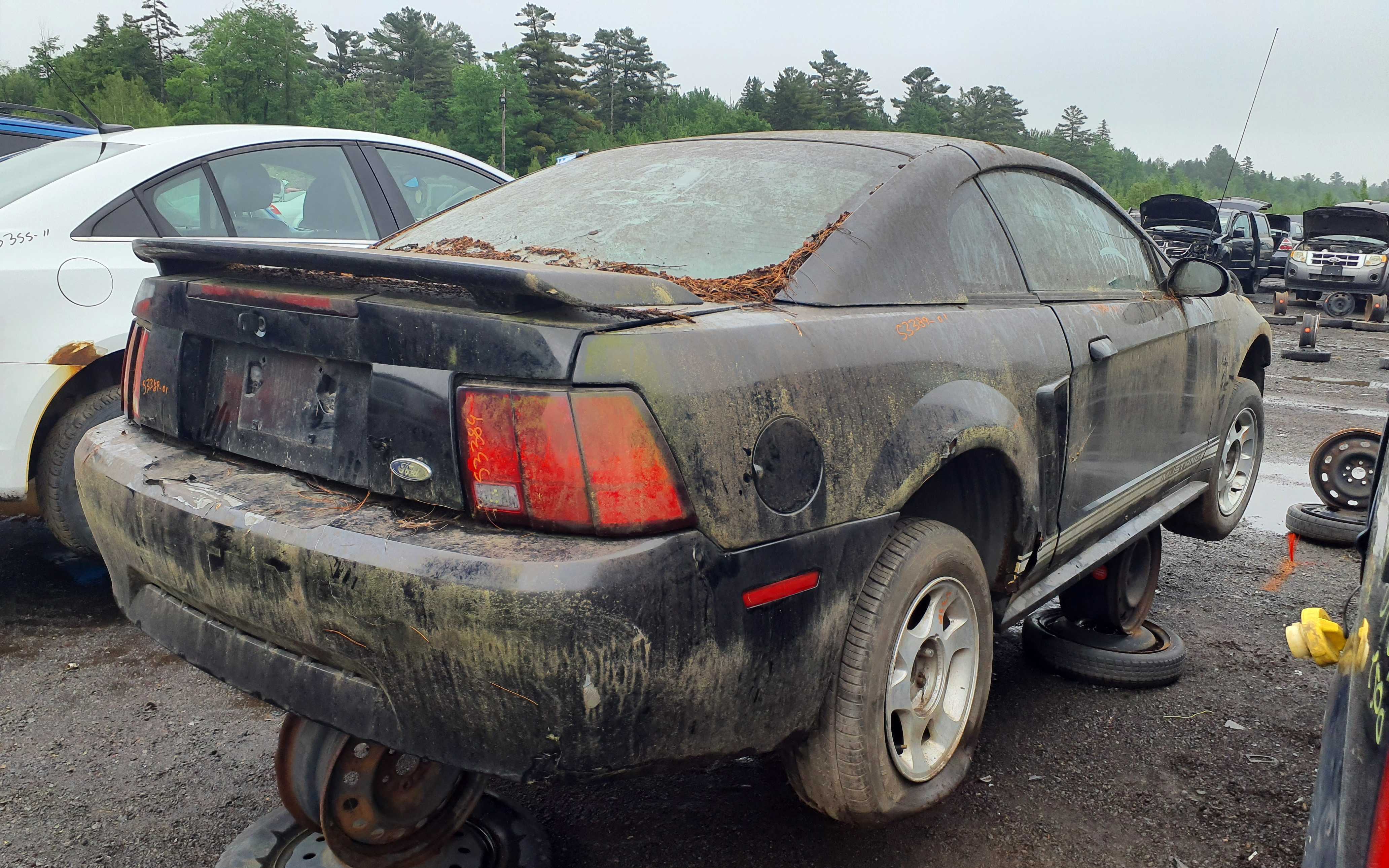 FORD MUSTANG 2001