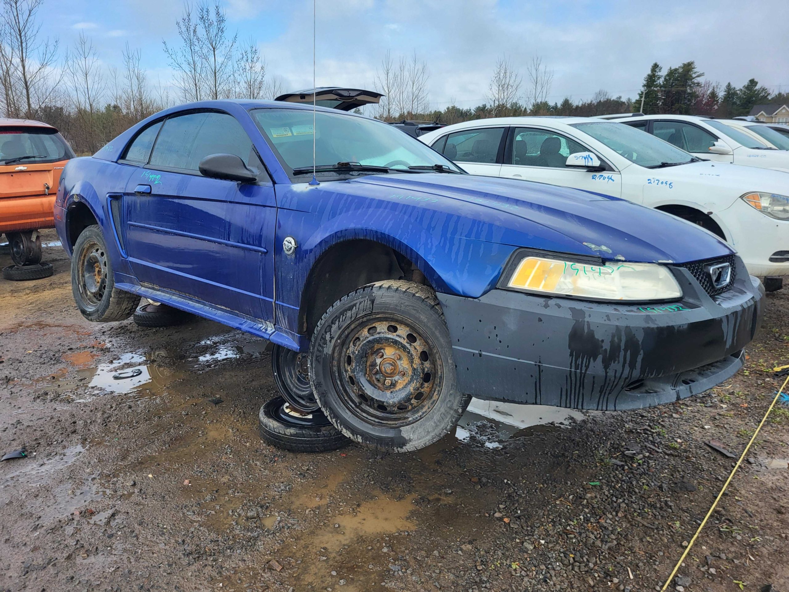 FORD MUSTANG 2004