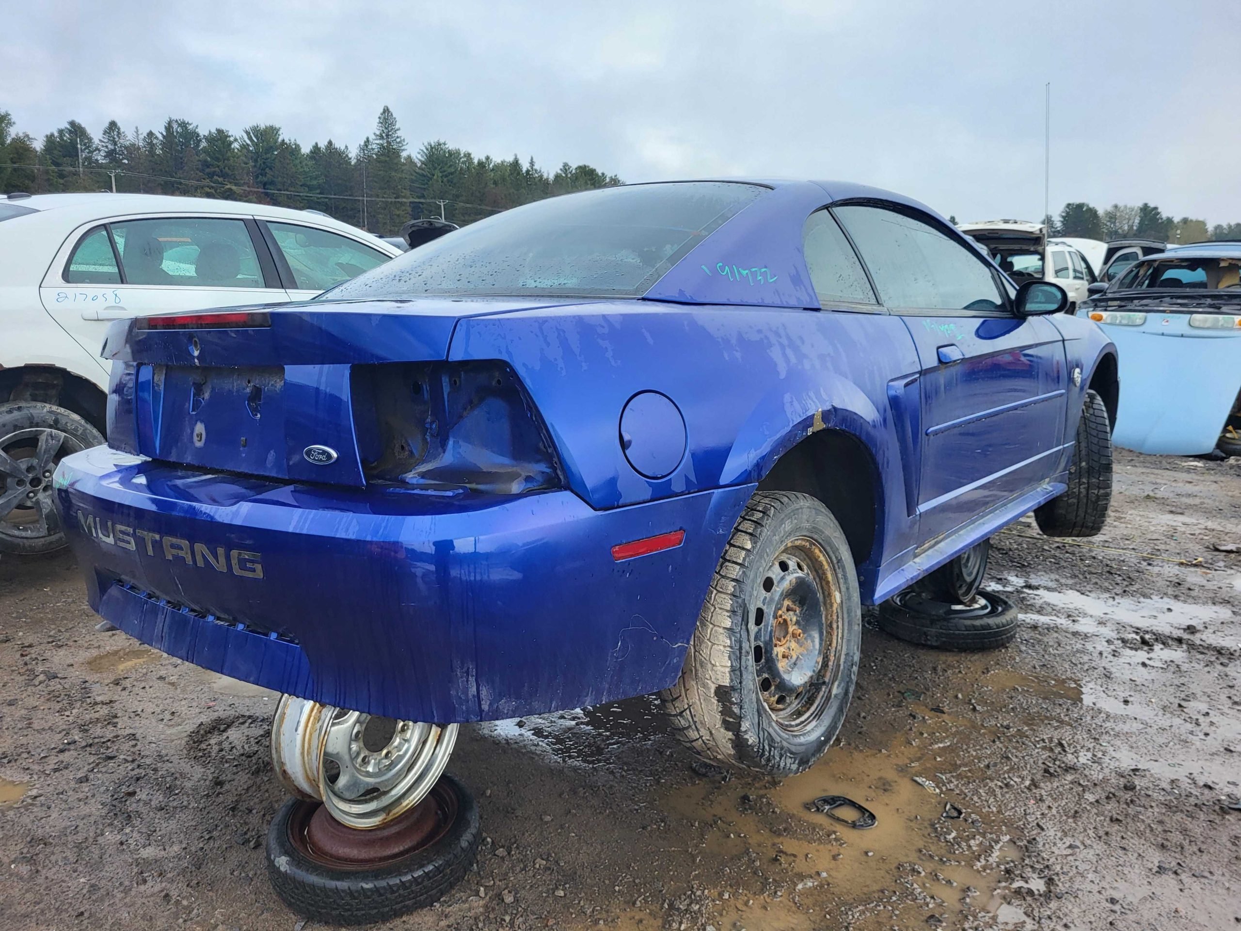 FORD MUSTANG 2004