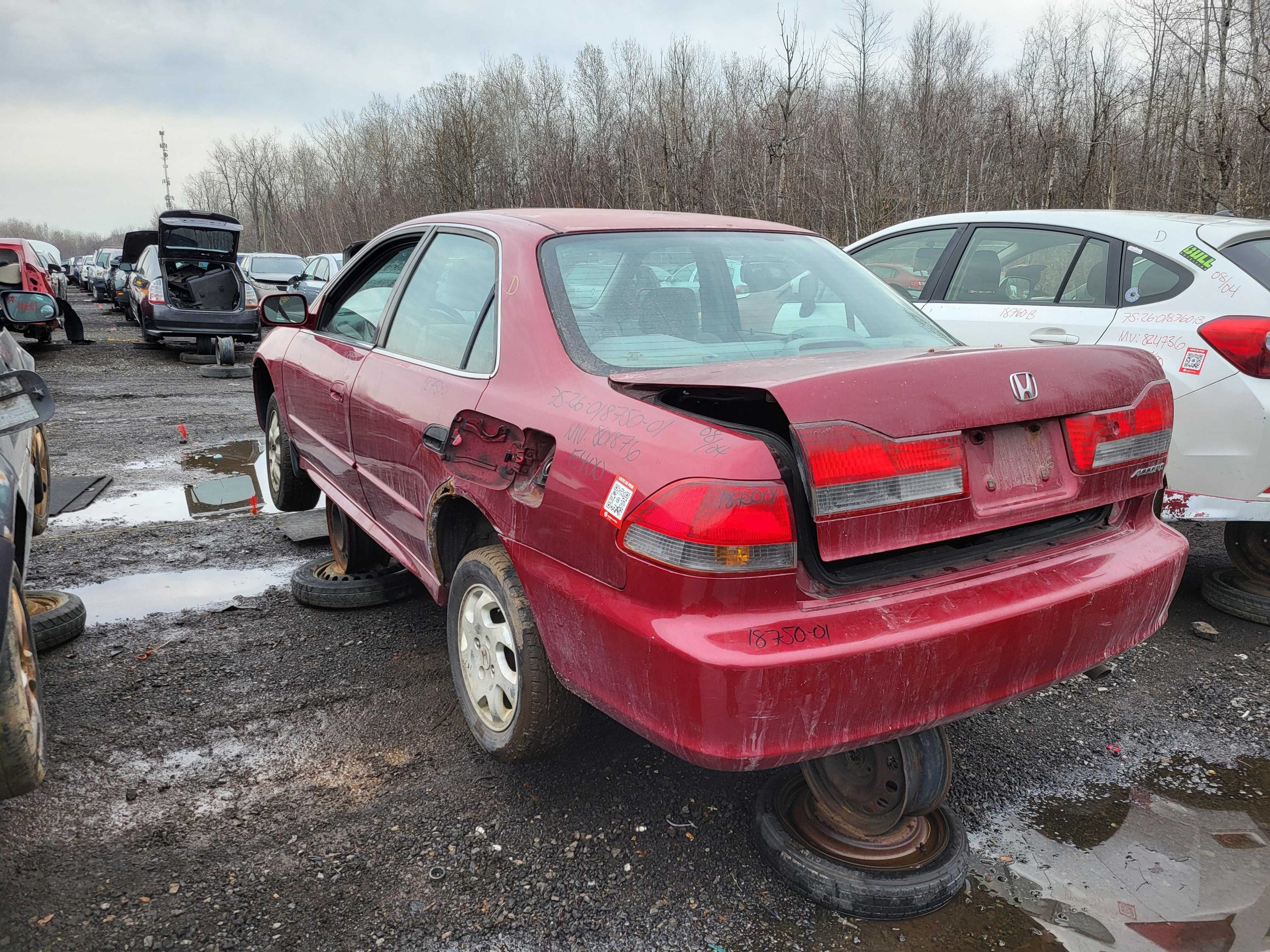 HONDA ACCORD 2001