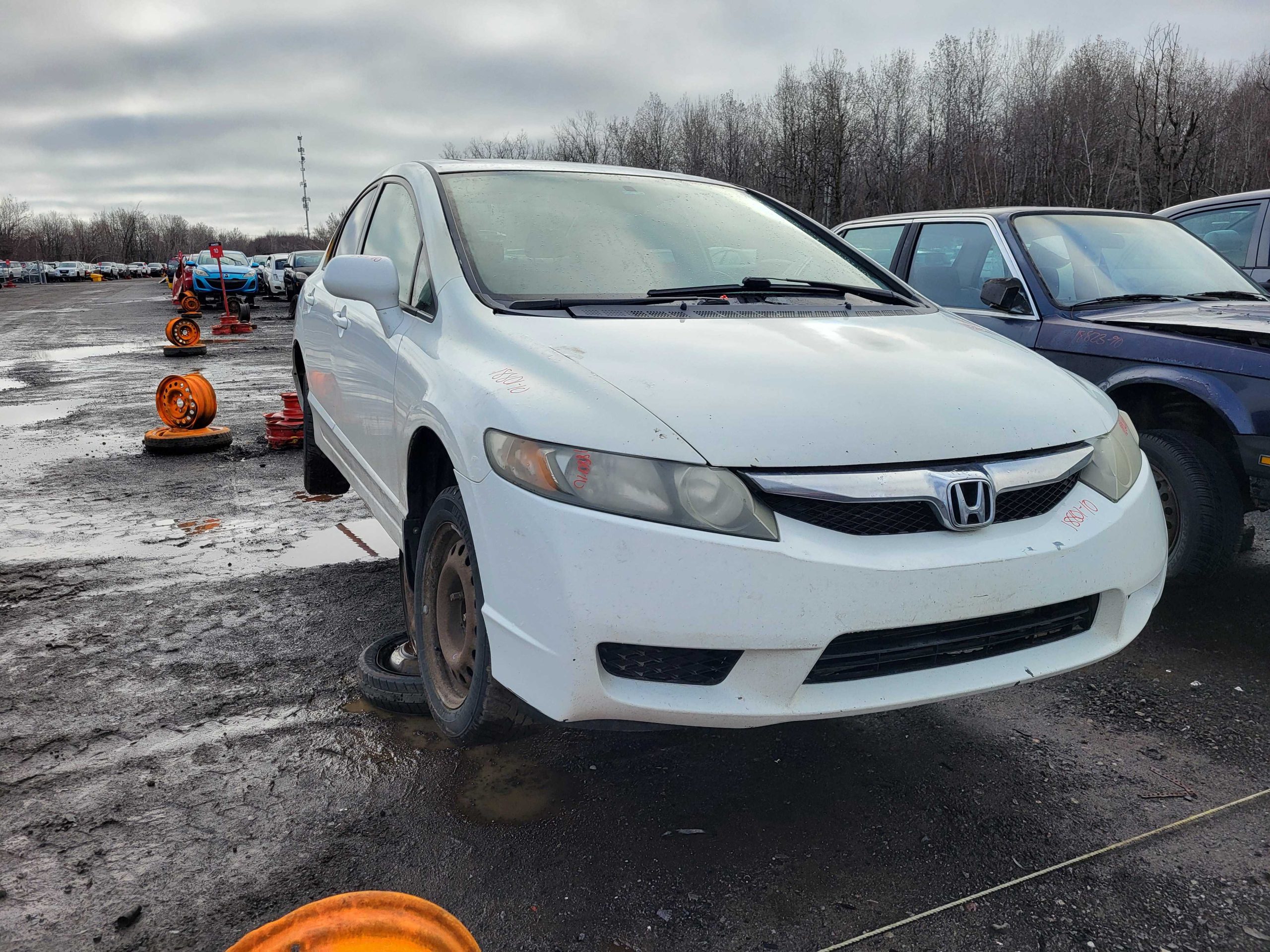 HONDA CIVIC 2010