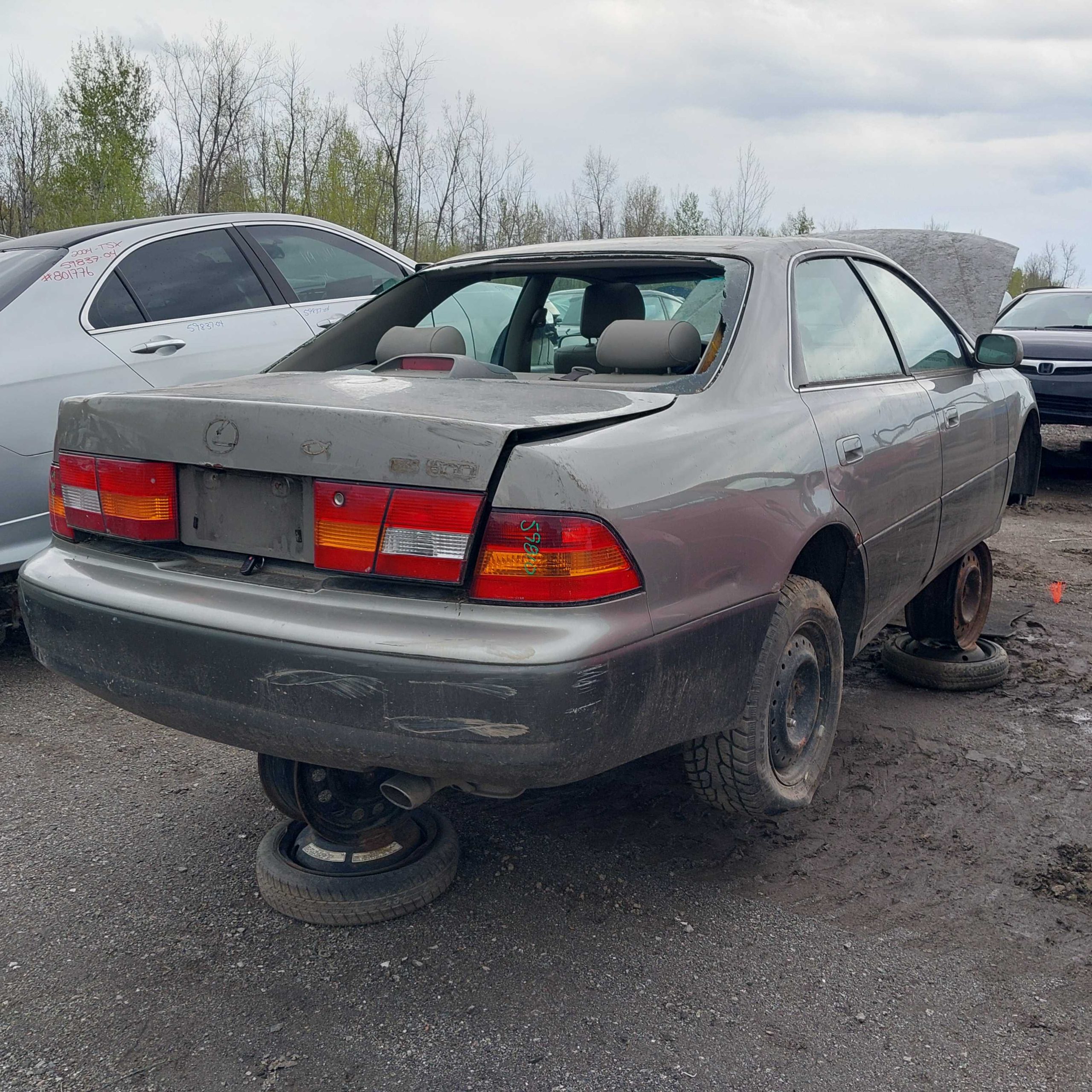 LEXUS ES 300 1999