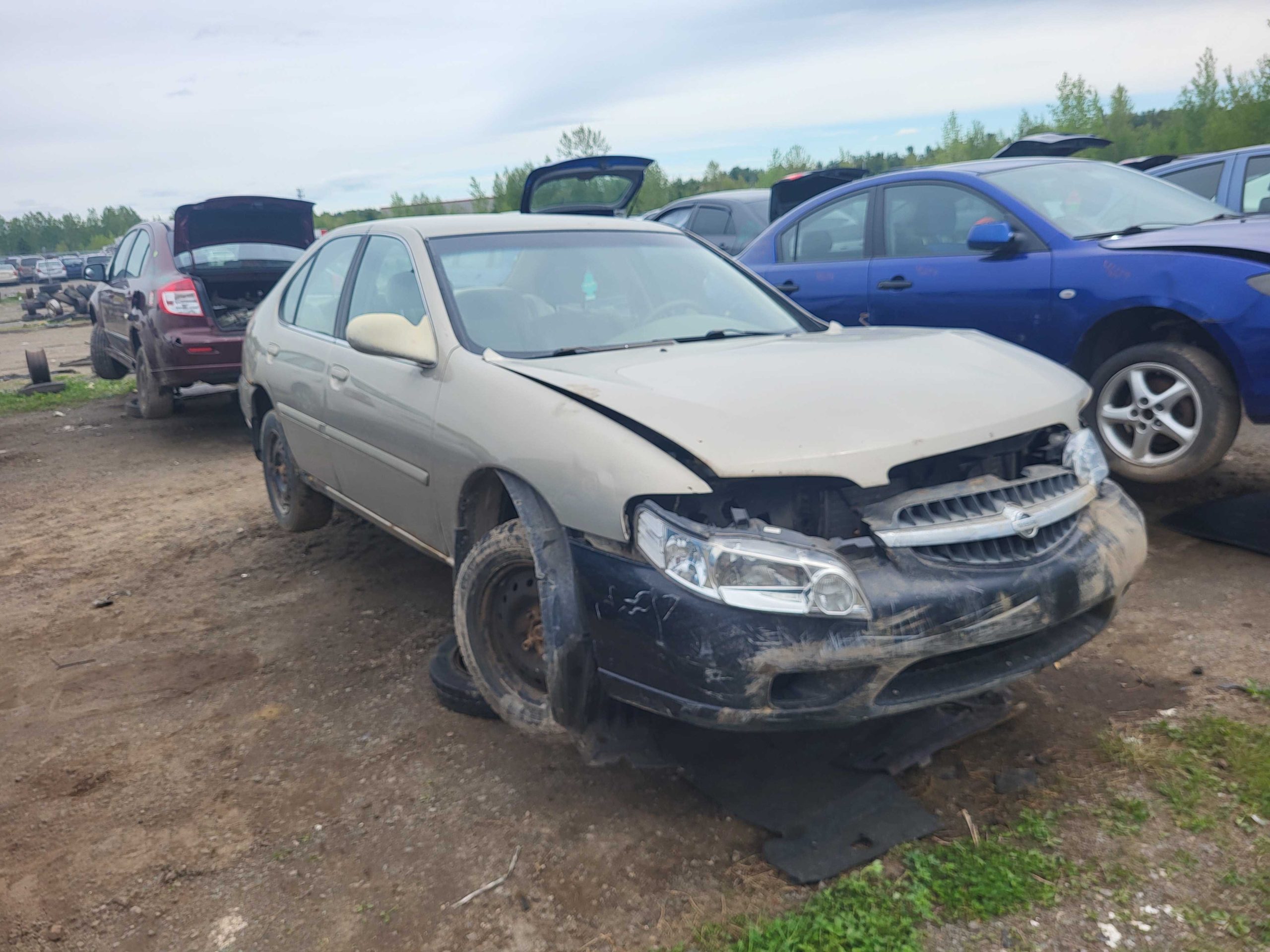 NISSAN ALTIMA 2001