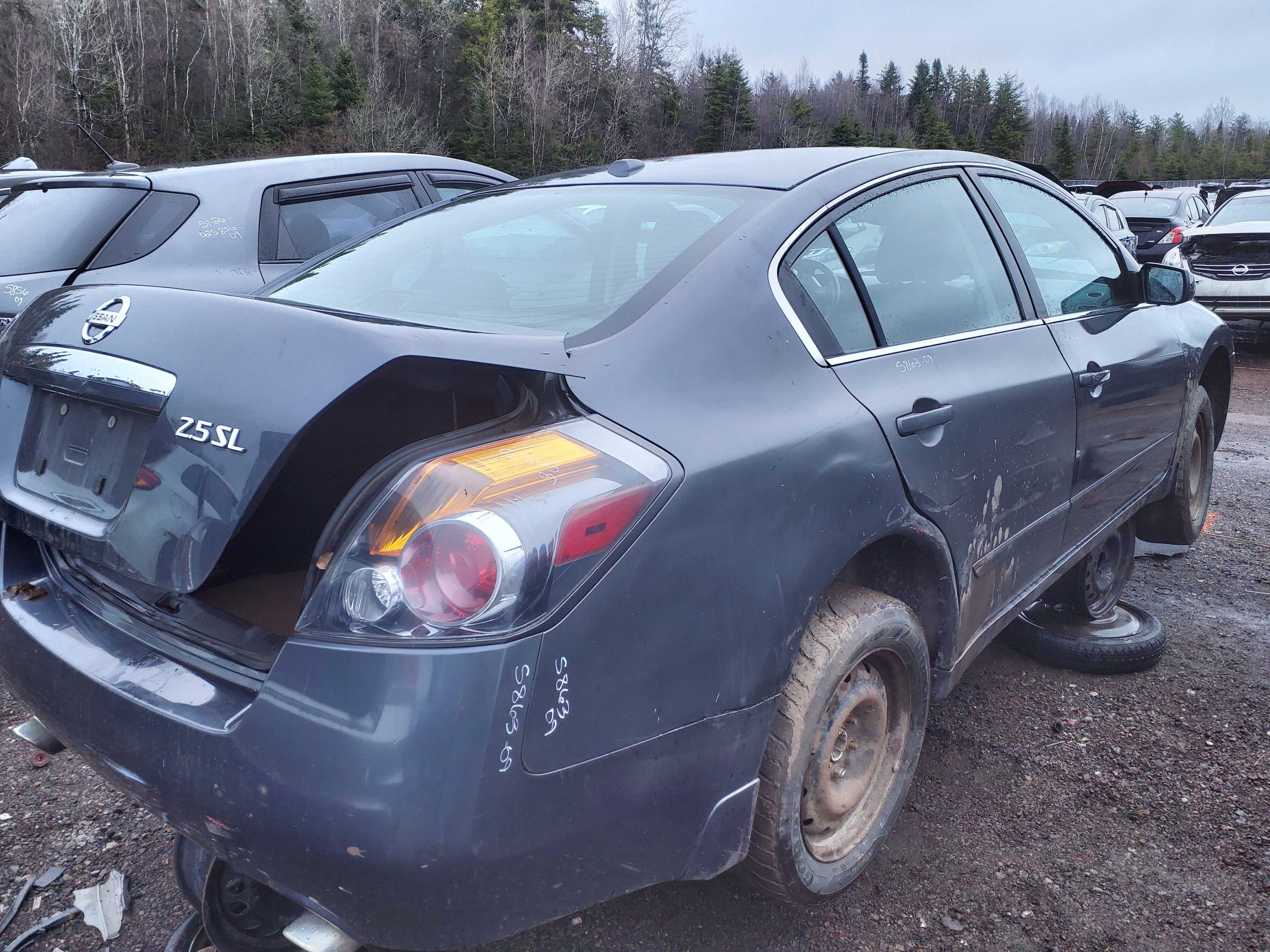 NISSAN ALTIMA 2009
