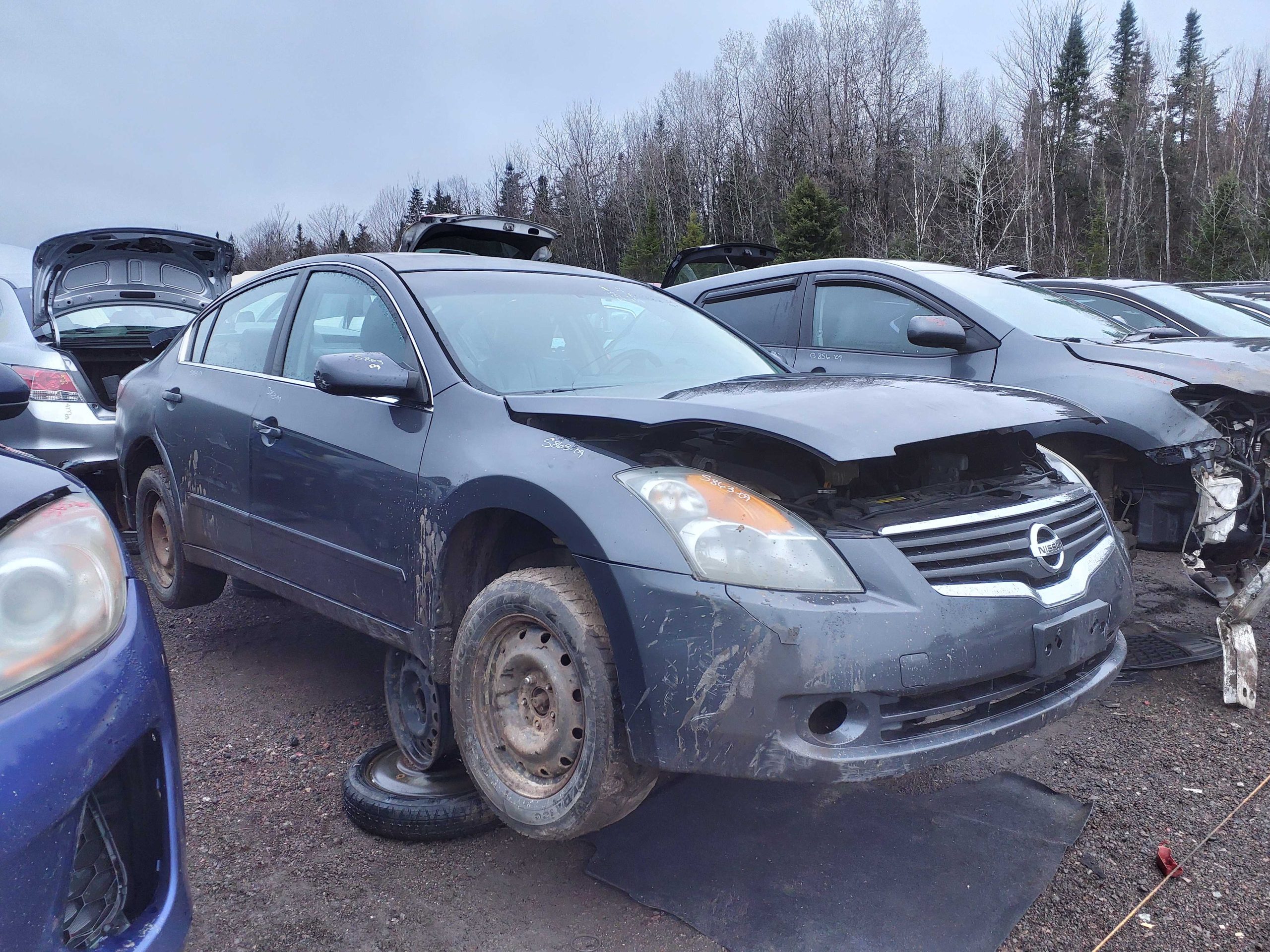 NISSAN ALTIMA 2009