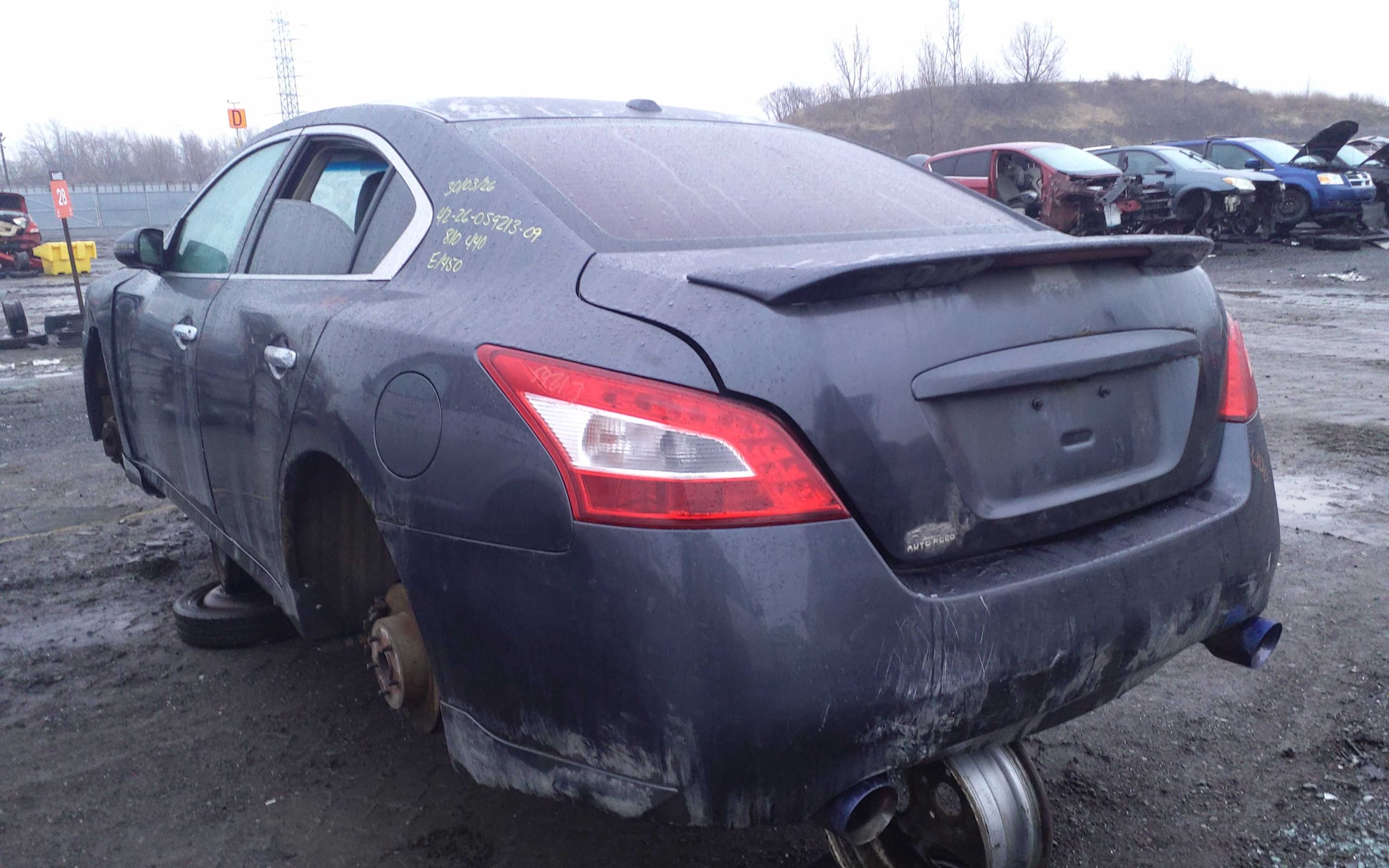 NISSAN MAXIMA 2009