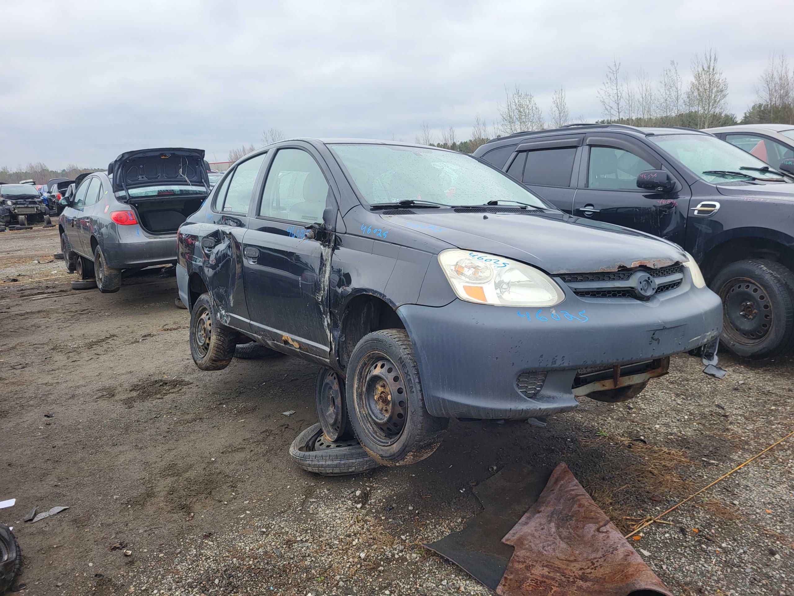 TOYOTA ECHO 2004