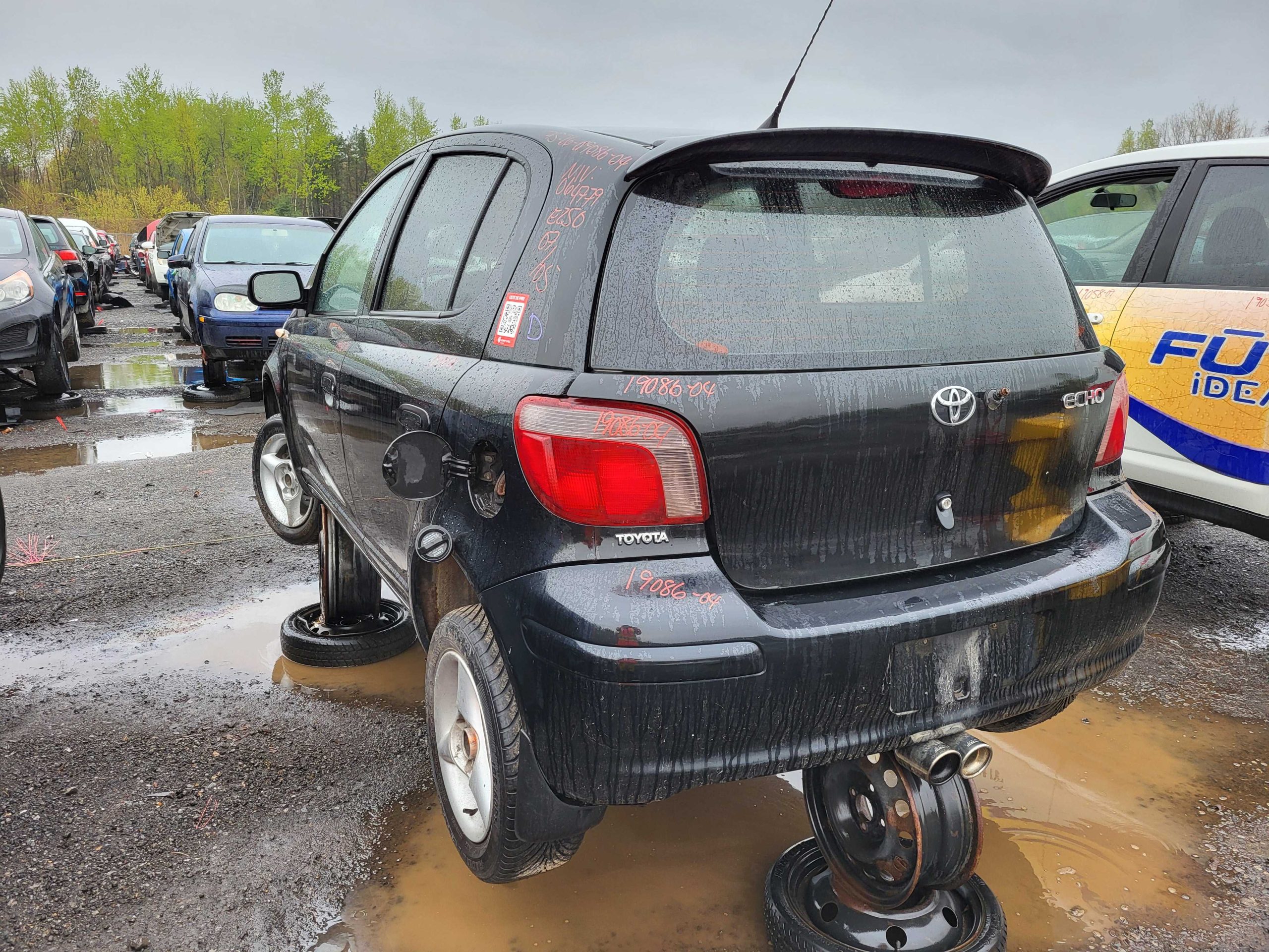 TOYOTA ECHO 2004