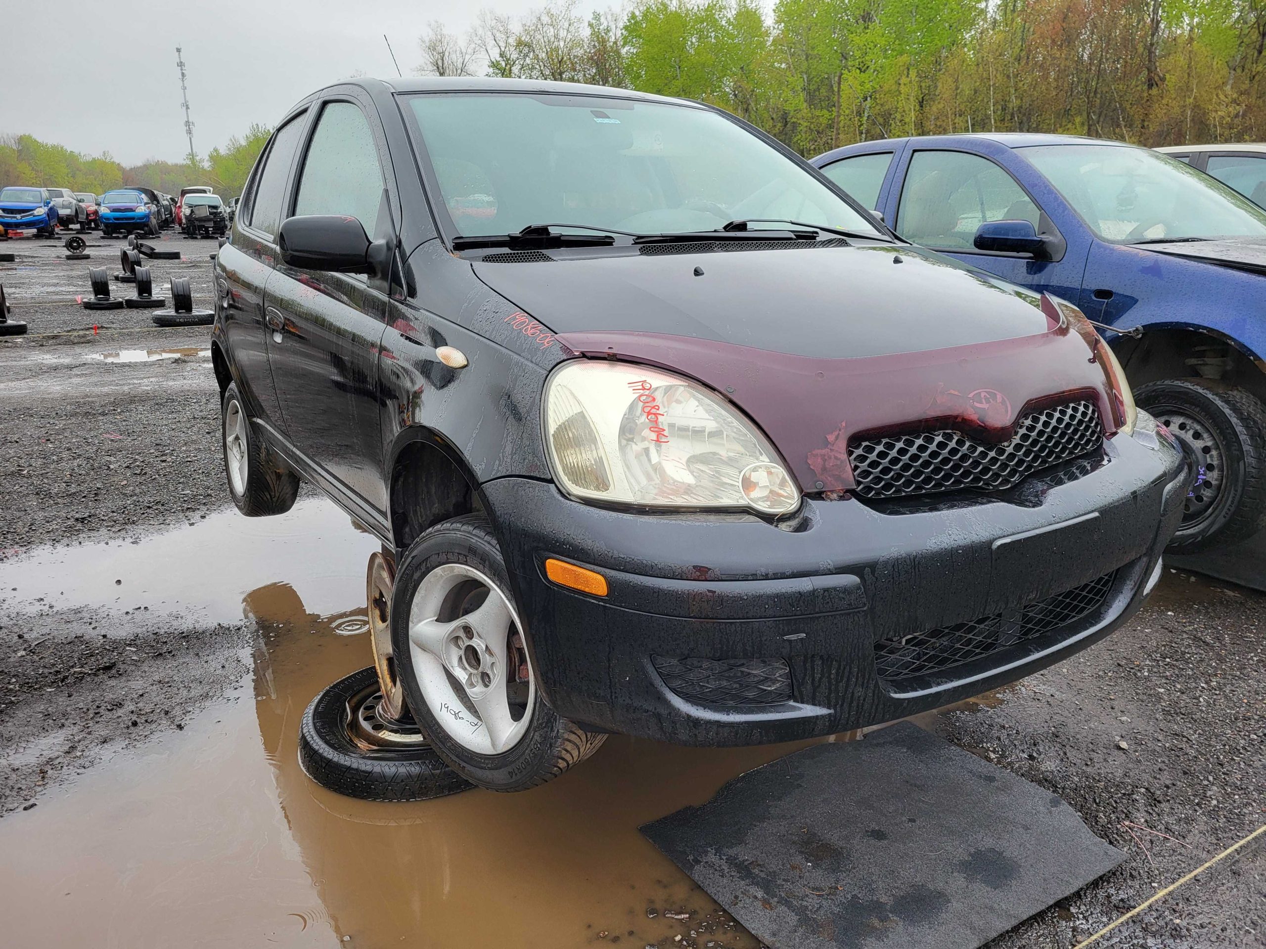 TOYOTA ECHO 2004