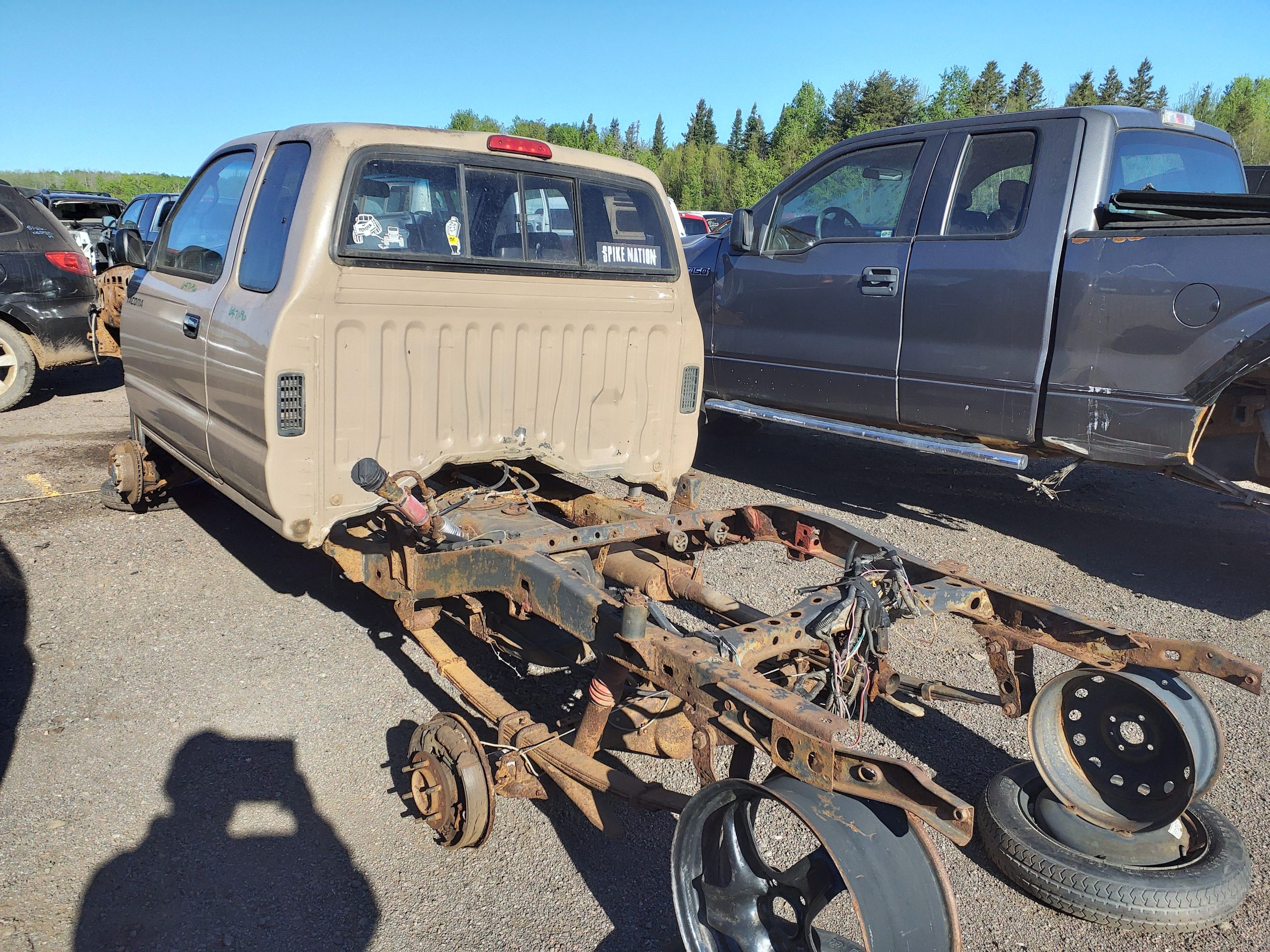 TOYOTA TACOMA 1996