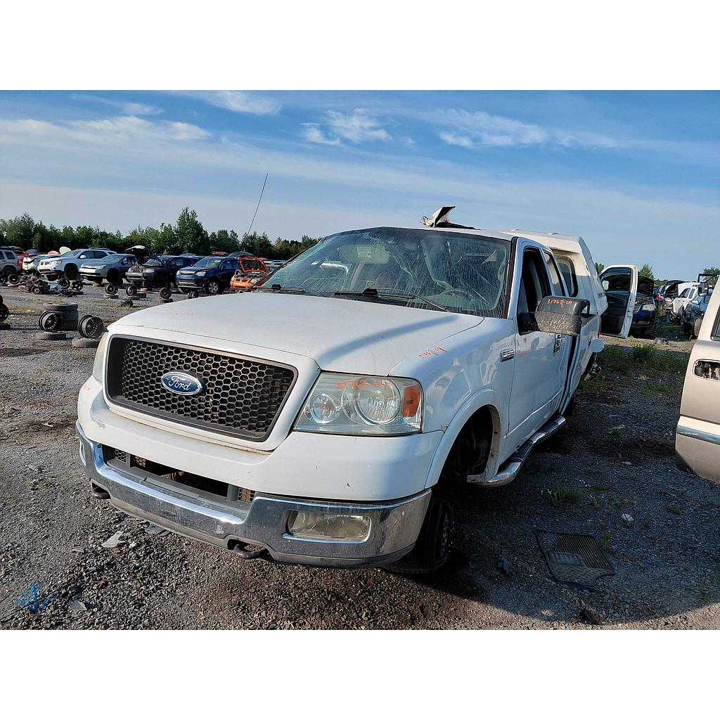 FORD F-150 2004