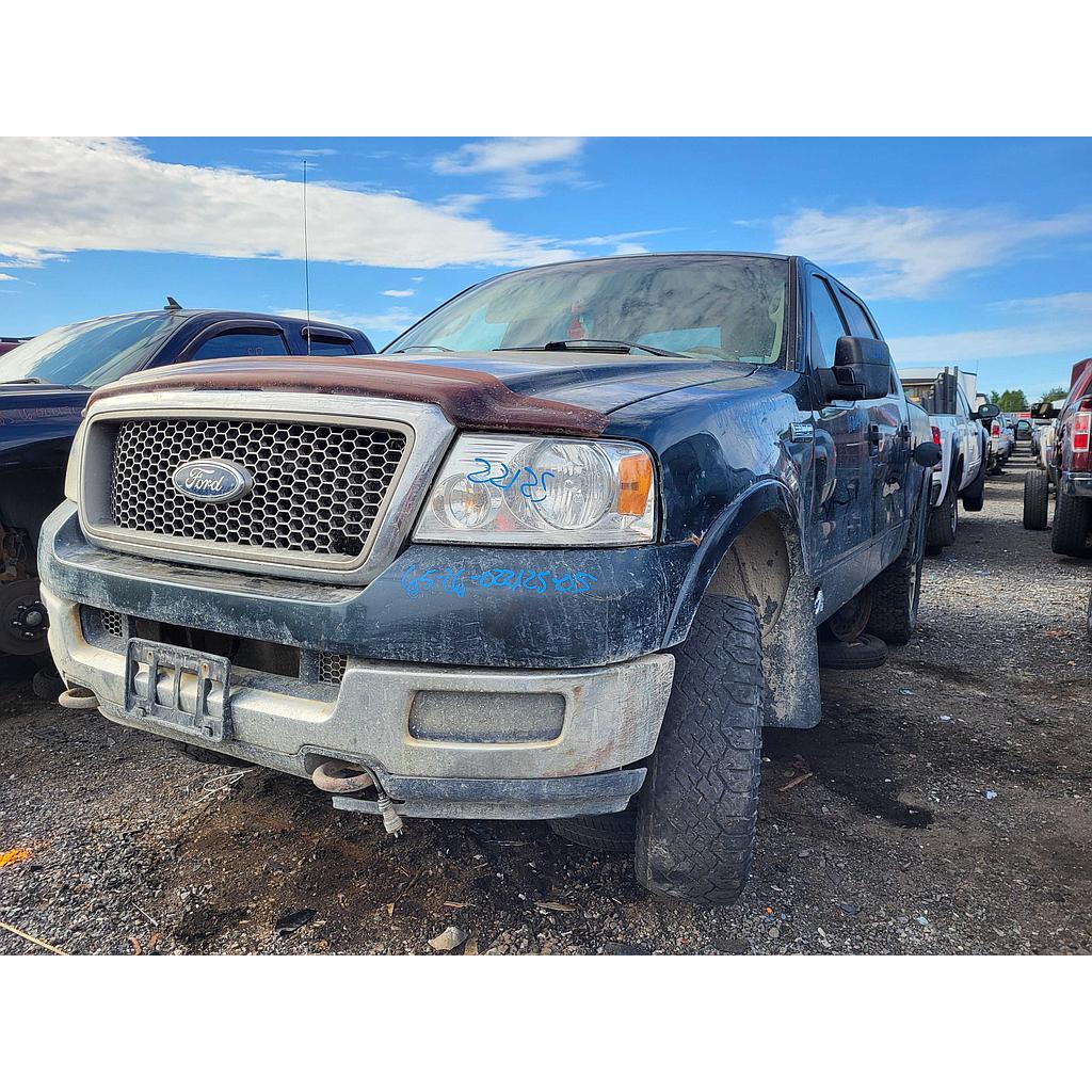 FORD F-150 2005