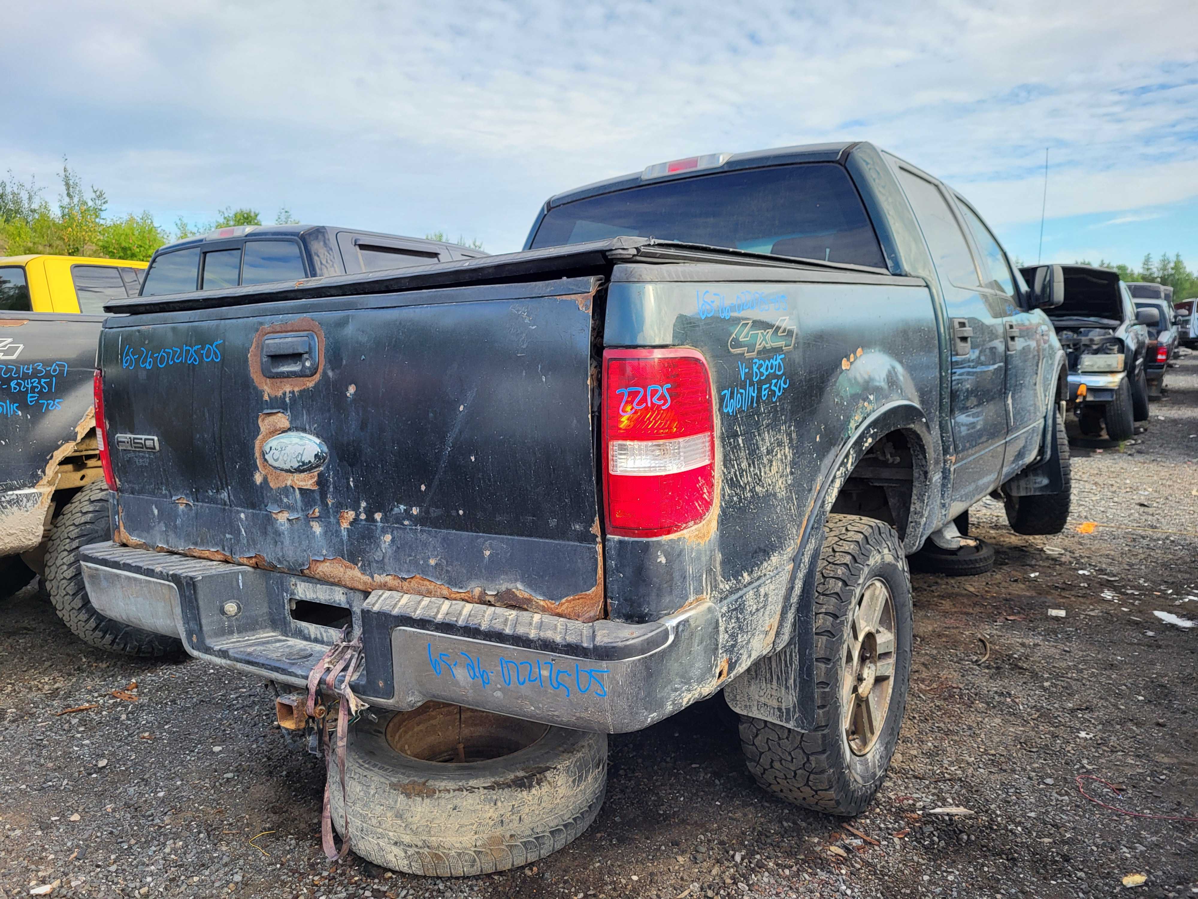 FORD F-150 2005
