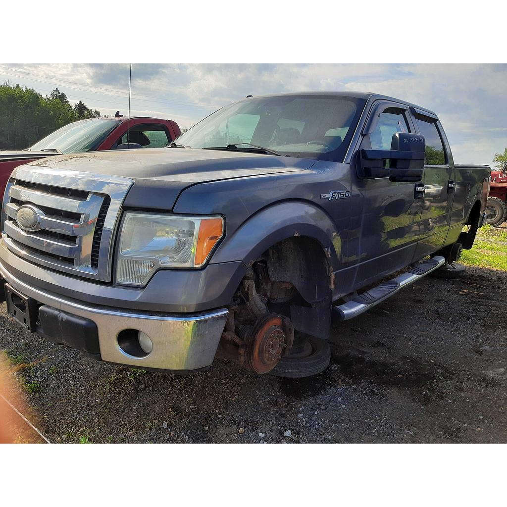 FORD F-150 2009