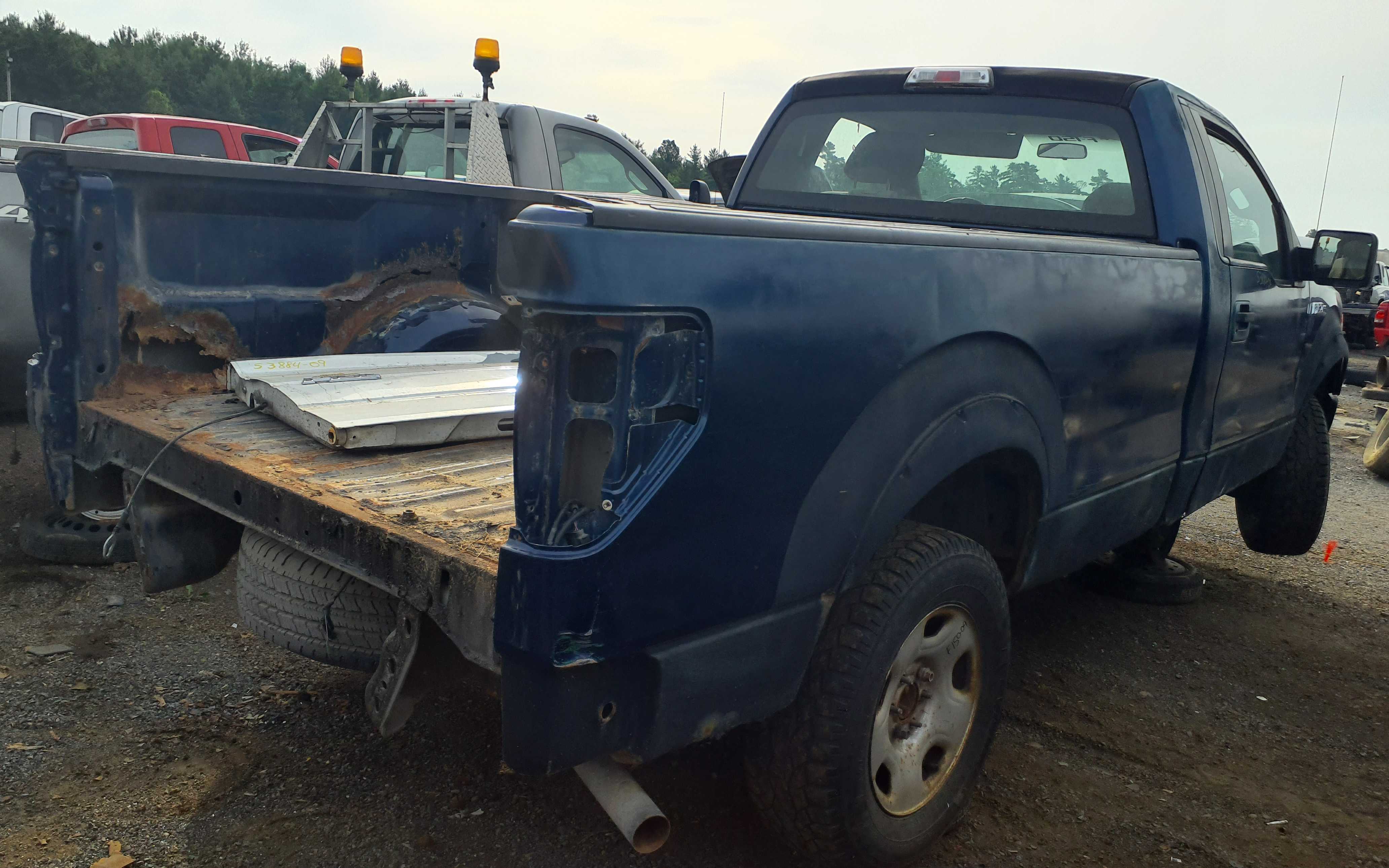 FORD F-150 2009
