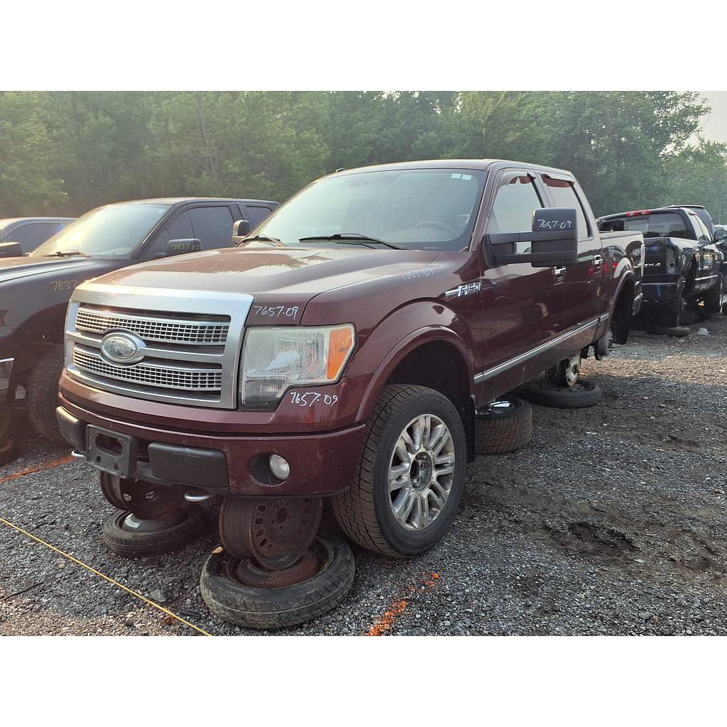 FORD F-150 2009