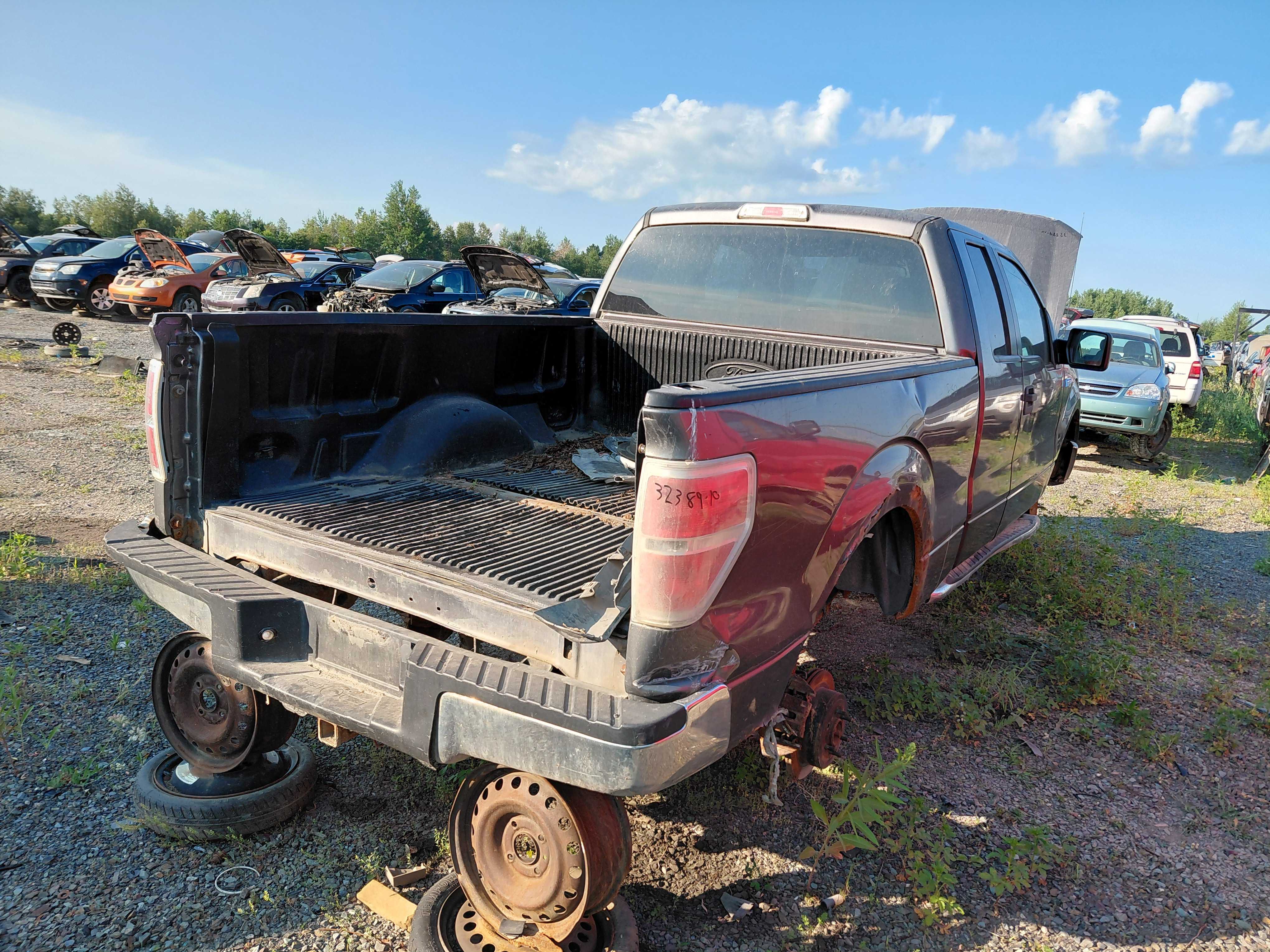 FORD F-150 2010