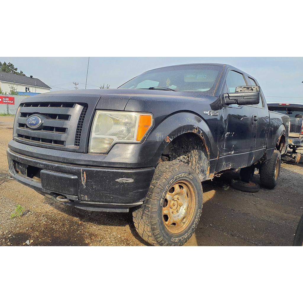 FORD F-150 2010