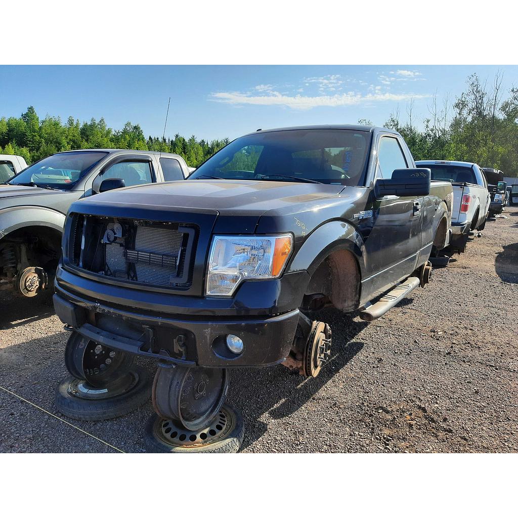 FORD F-150 2014