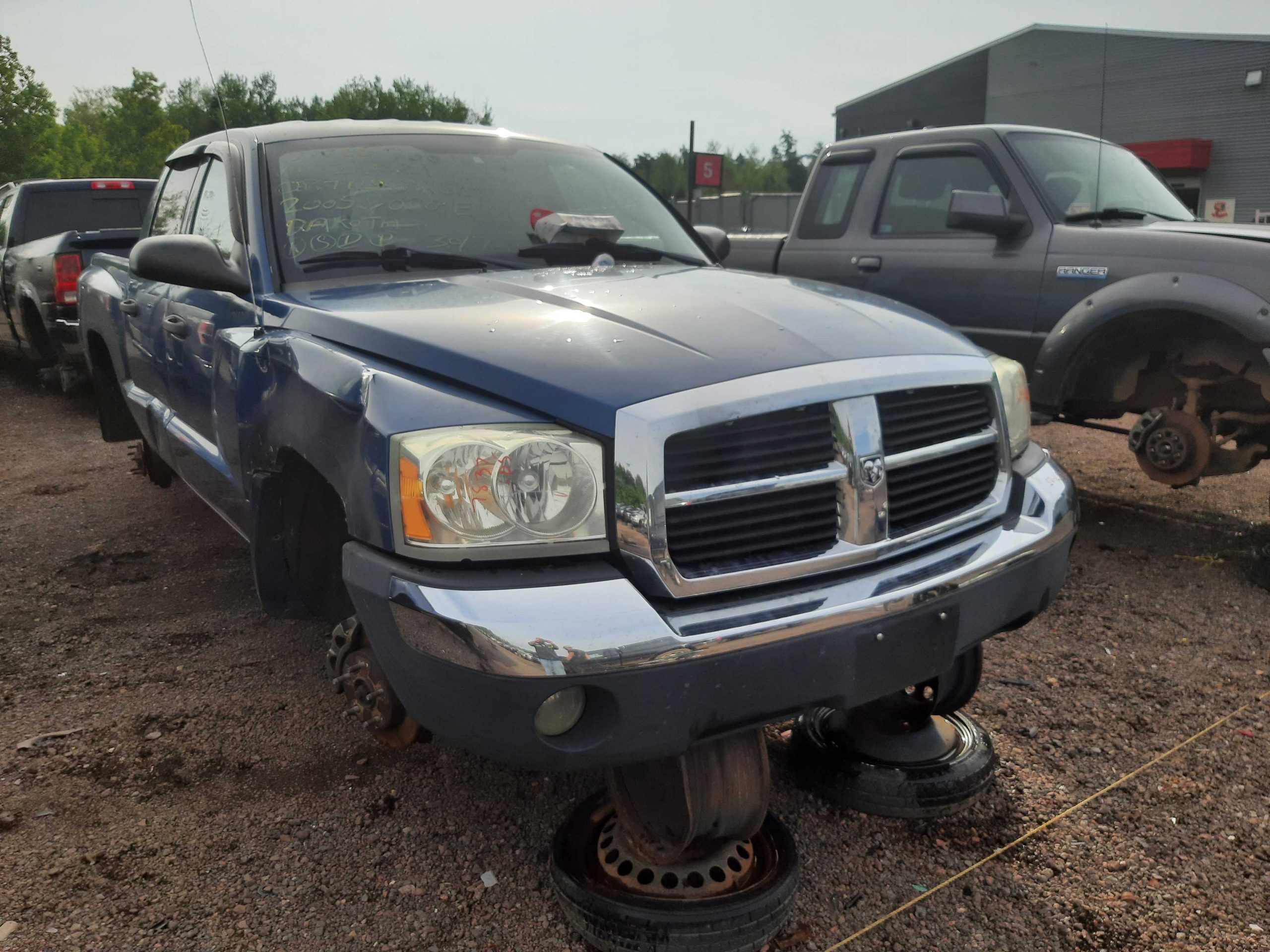 DODGE DAKOTA 2005