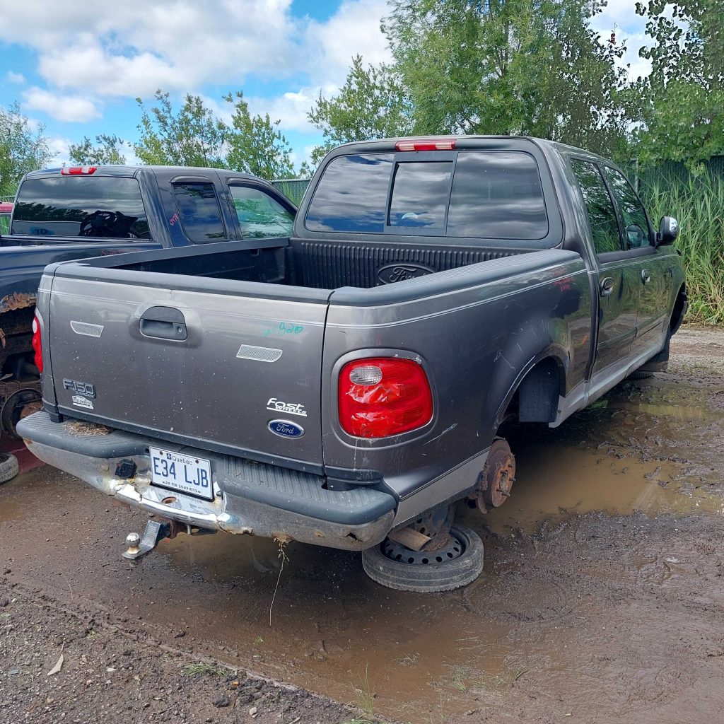 FORD F-150 2002