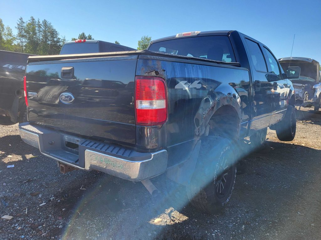 FORD F-150 2004
