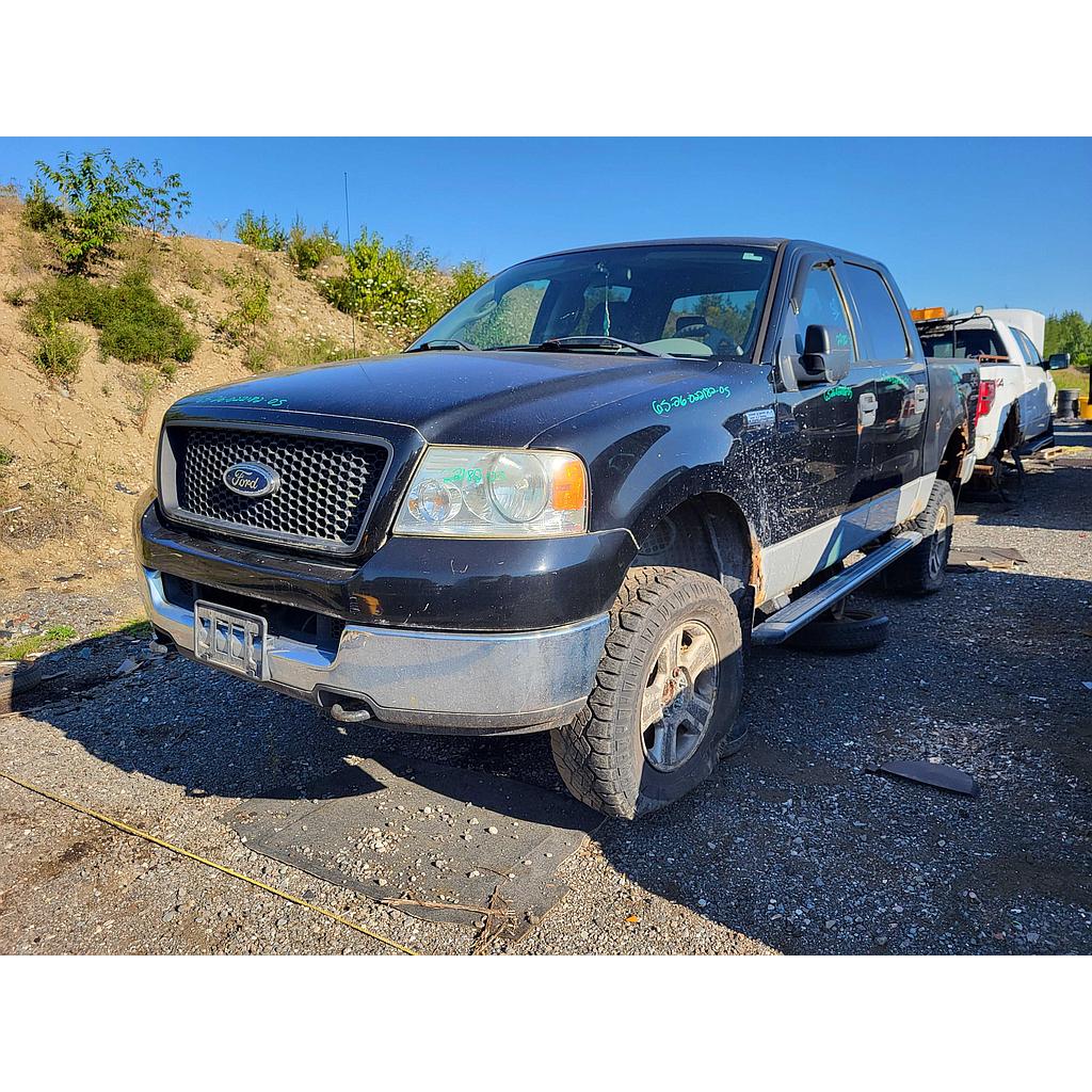 FORD F-150 2005