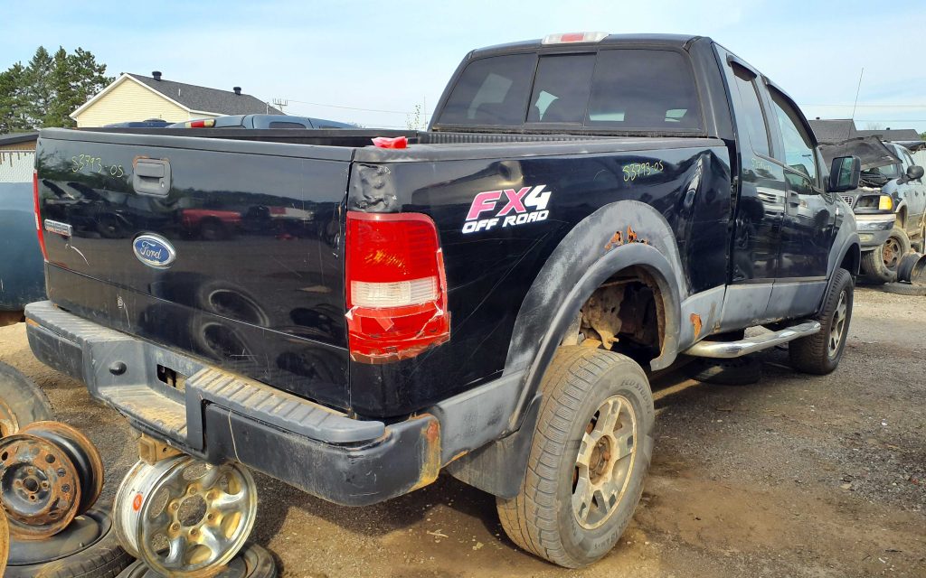 FORD F-150 2005