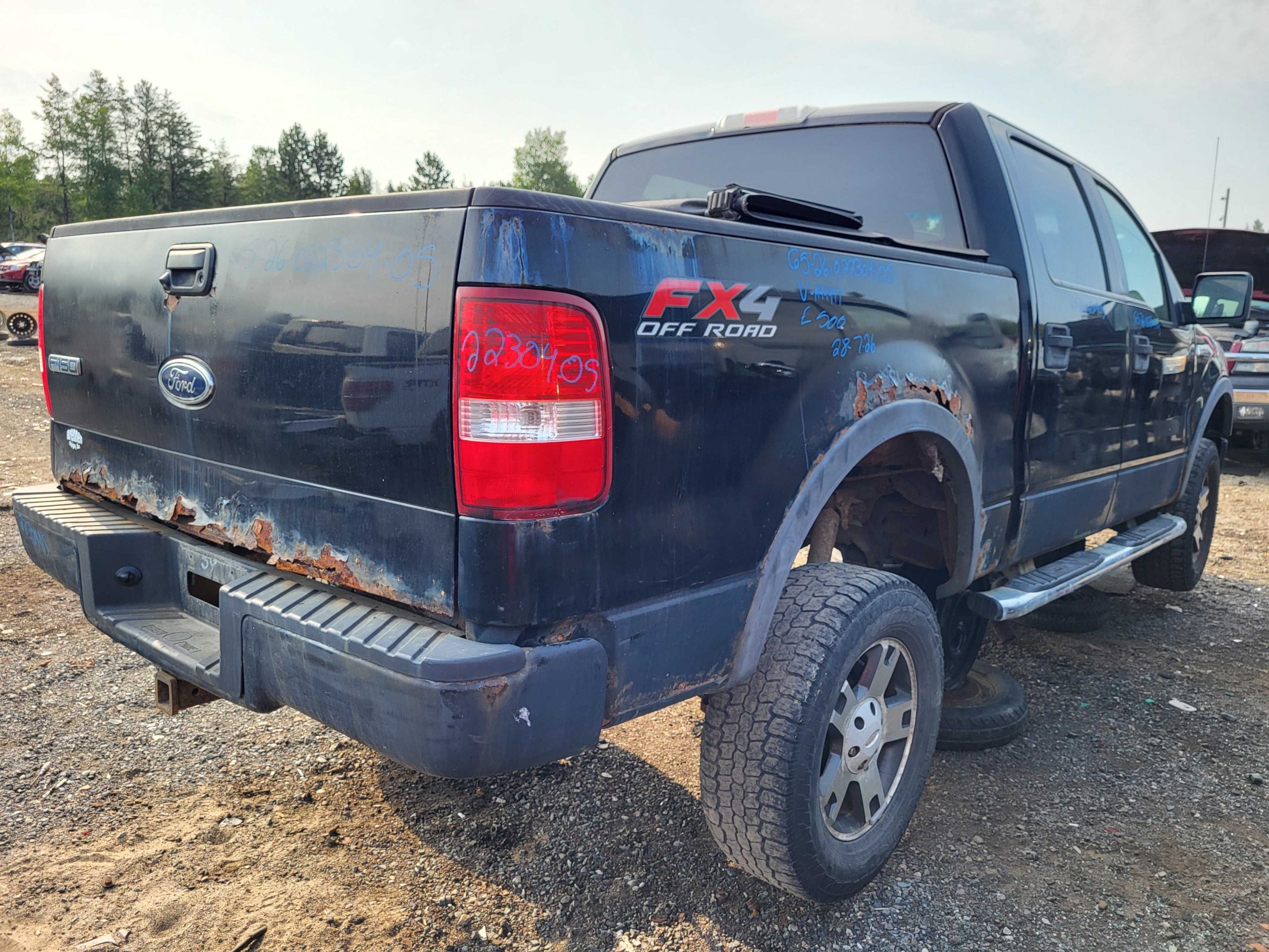 FORD F-150 2005