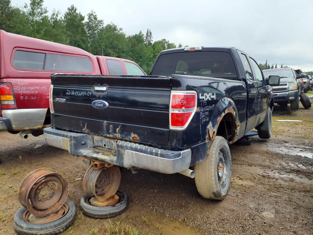 FORD F-150 2009