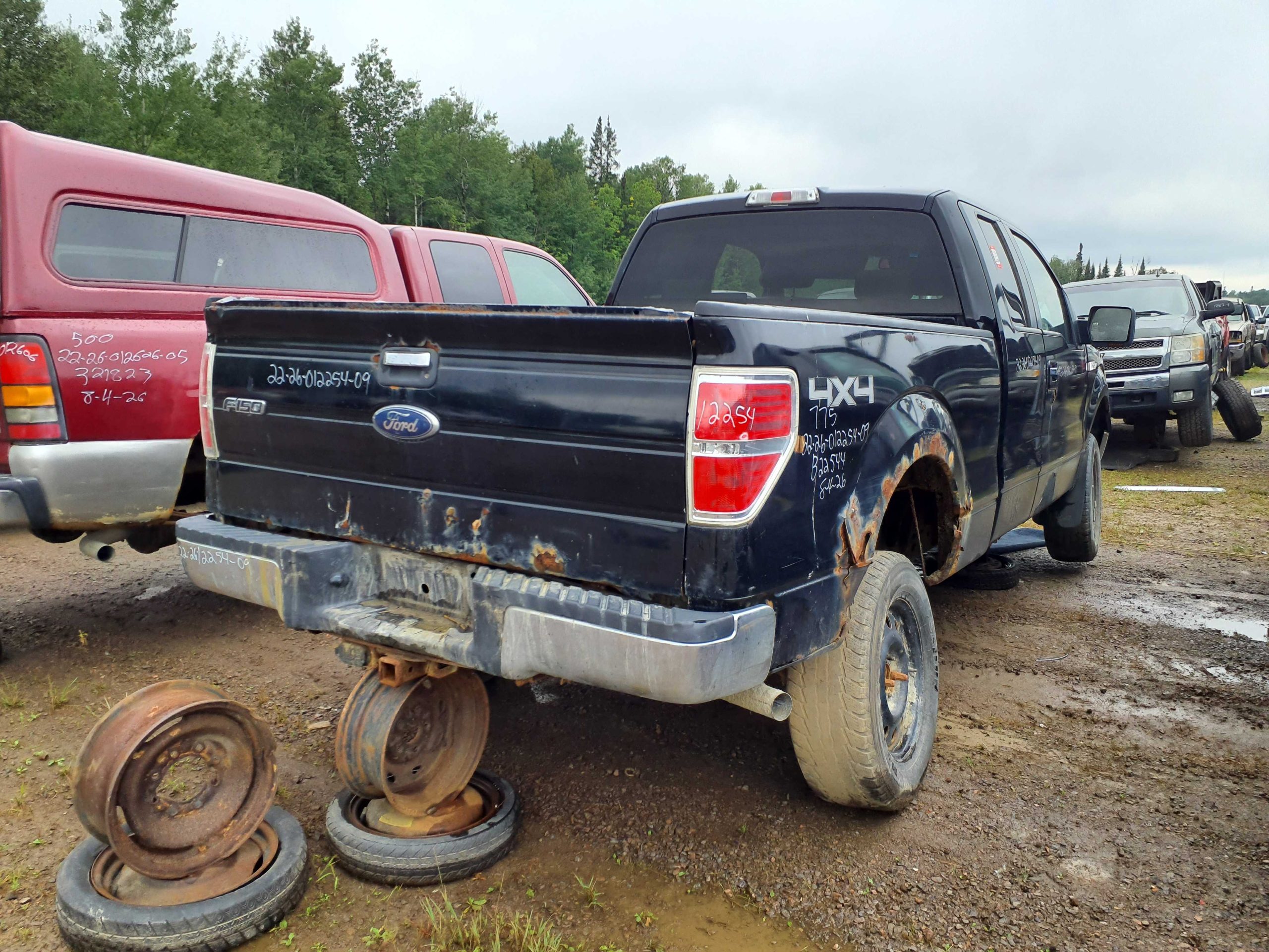 FORD F-150 2009