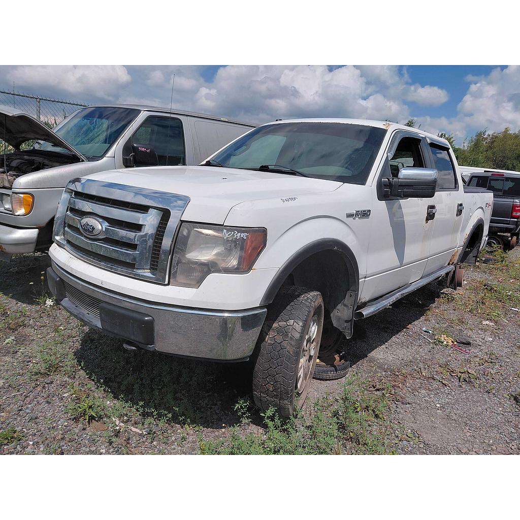 FORD F-150 2009