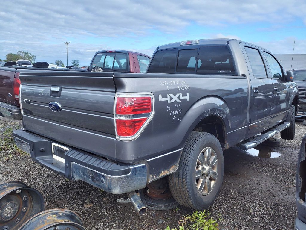FORD F-150 2009