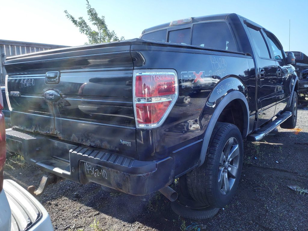 FORD F-150 2010