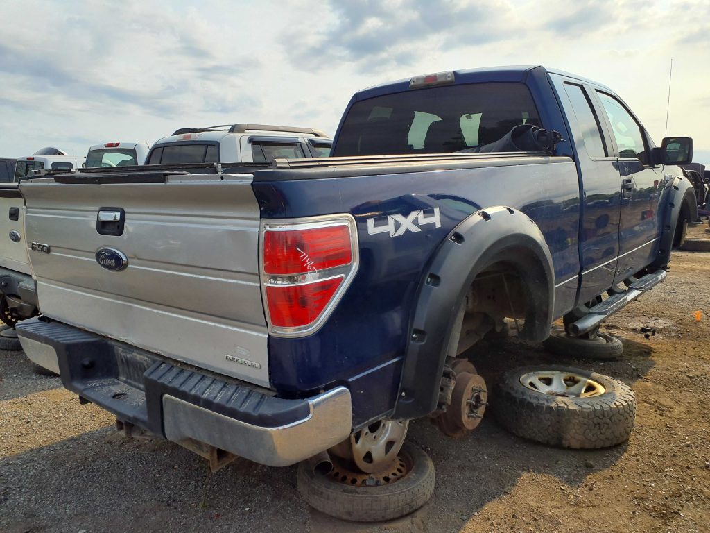 FORD F-150 2010