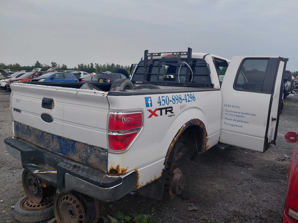 FORD F-150 2010