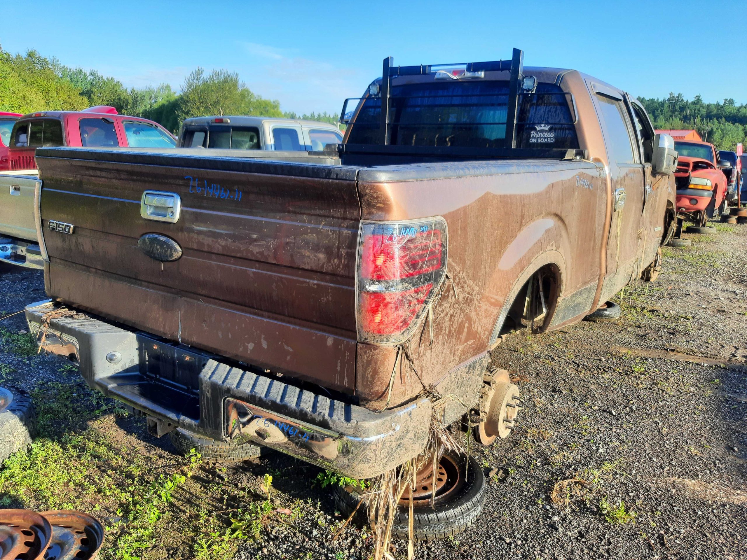 FORD F-150 2011