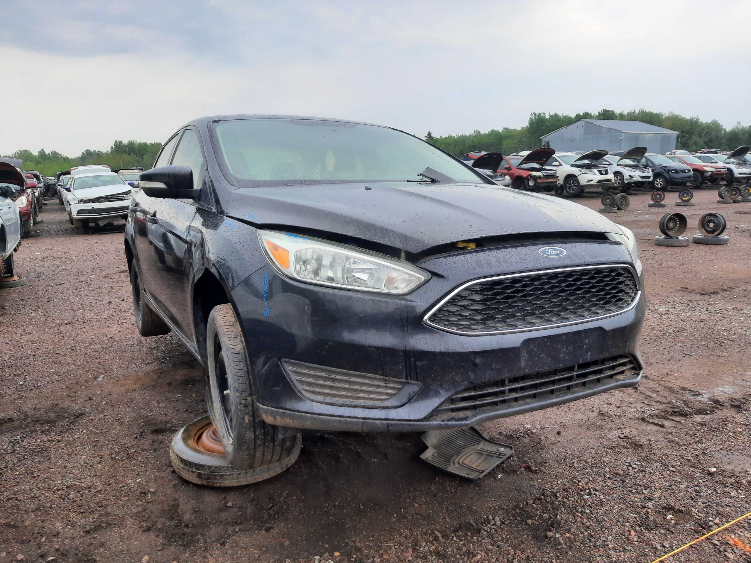 FORD FOCUS 2015