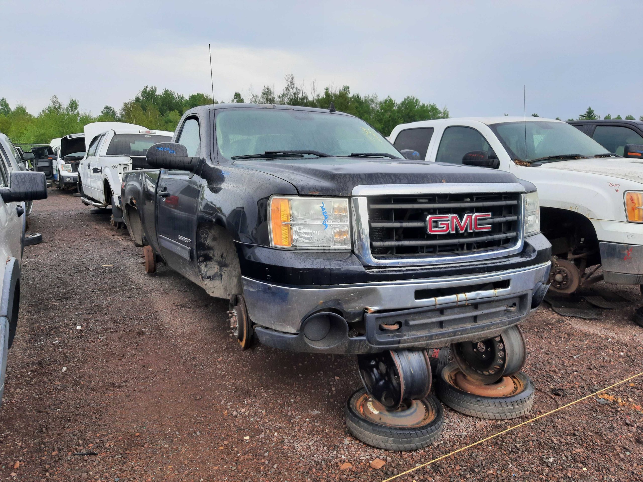 GMC SIERRA 1500 2009